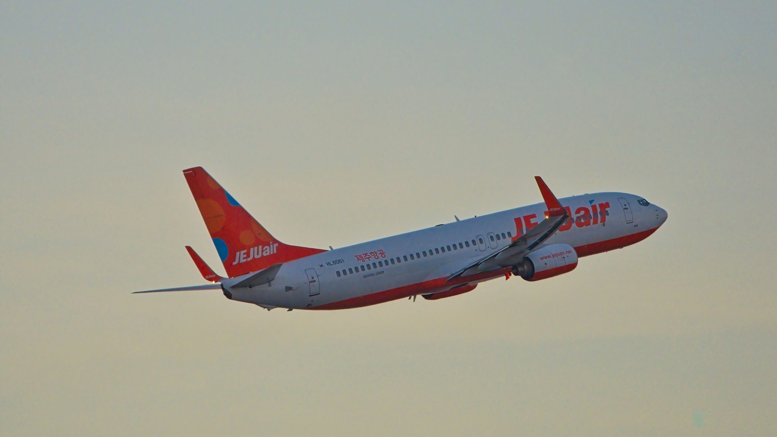 Jeju Air Crash: Police Raid Muan Airport wegen beruflicher Fahrlässigkeit RAID