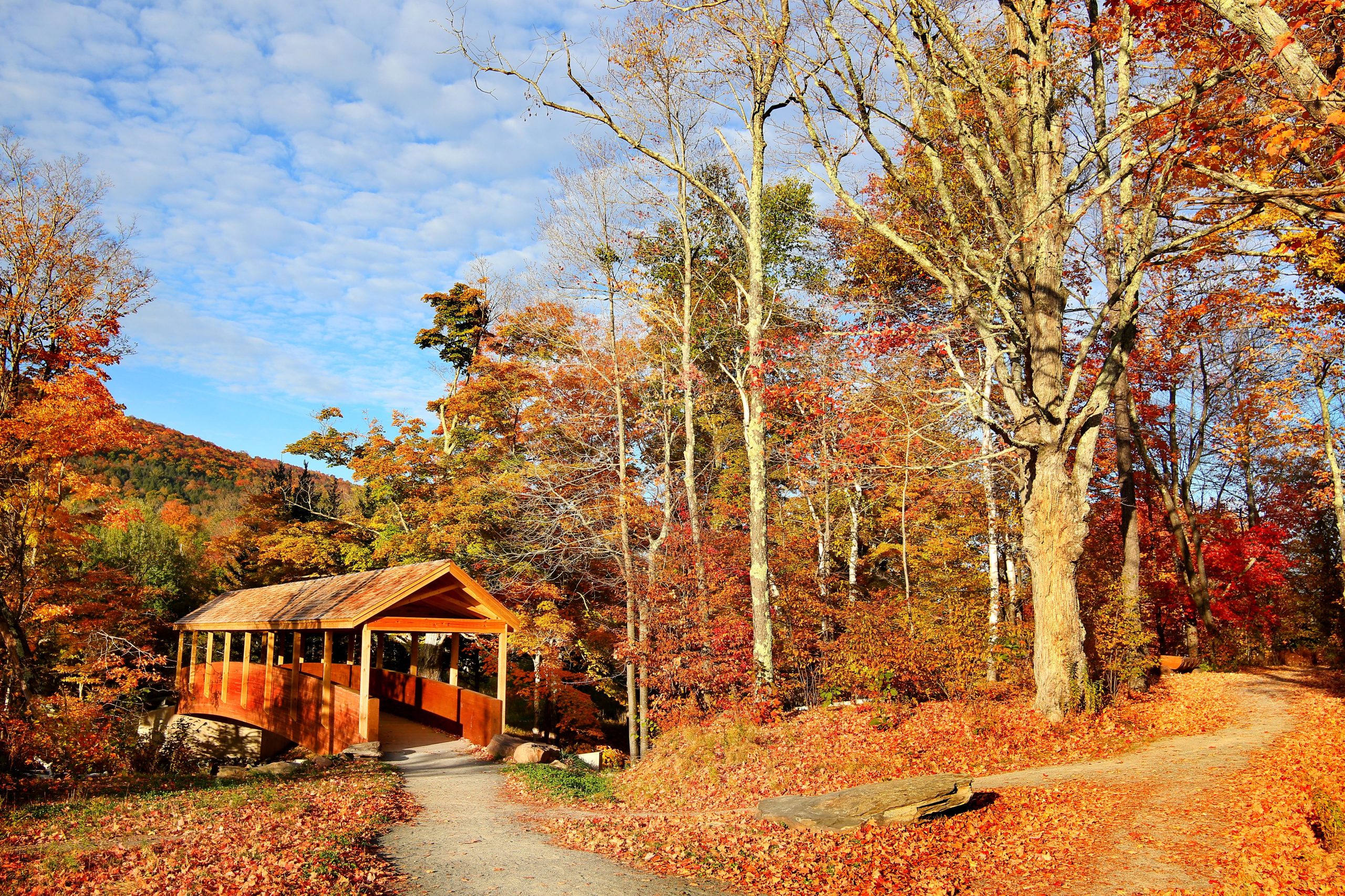 Überspringen Sie in den Catskills 7 kleine Städte in die State, NY