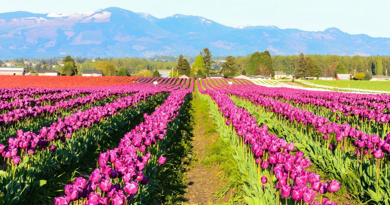Washingtons idyllischste Kleinstadt ist eine, von der Sie noch nie gehört haben