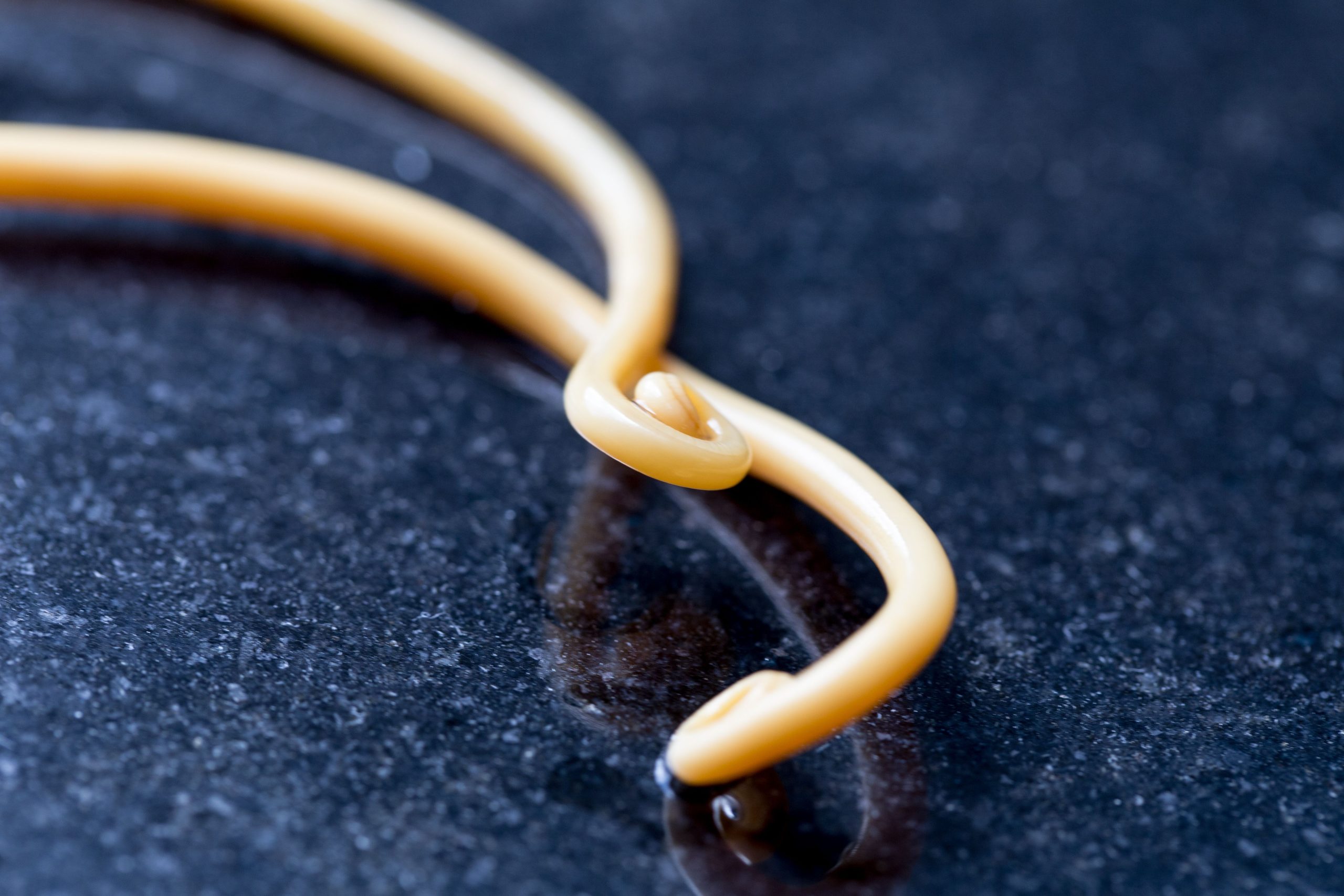 10 schrecklichste Parasiten, die Menschen infizieren können