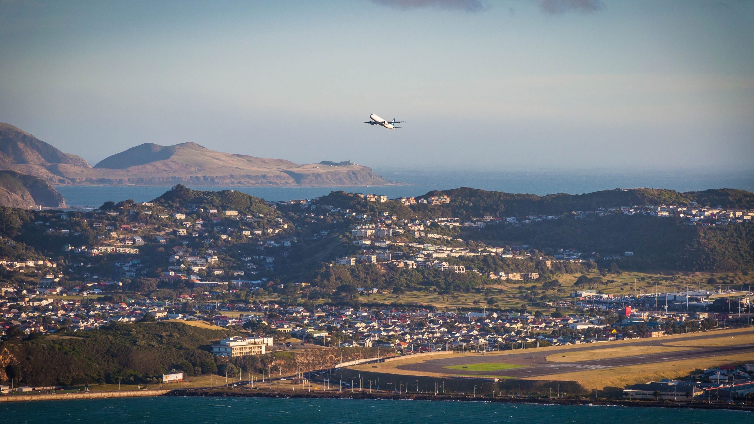 Wie ein kleines blaues Pinguin am Flughafen Wellington Flugverzögerungen verursachte