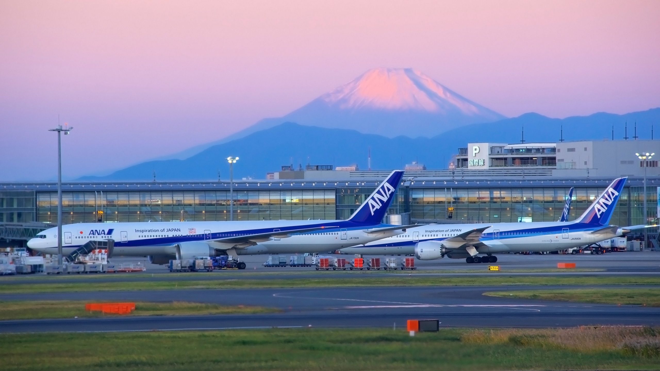 Die Flugreise nach Tokio ist im Trend: Hier sind Ihre Flugoptionen aus den USA