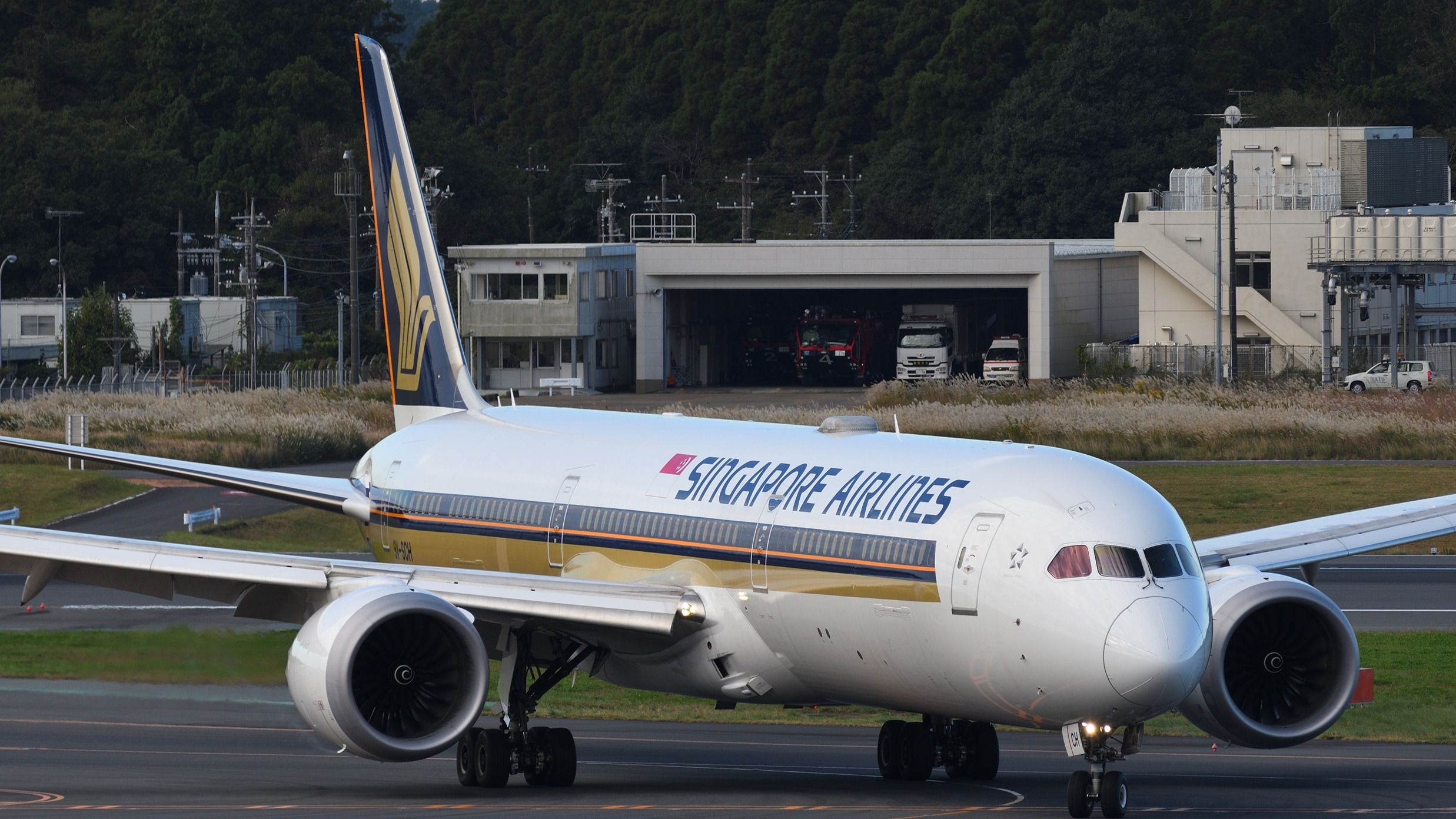 Top 5: Die Fluggesellschaften, die die meisten Flüge mit dem Boeing 787-1 Dreamliner im Jahr 2024 durchführen