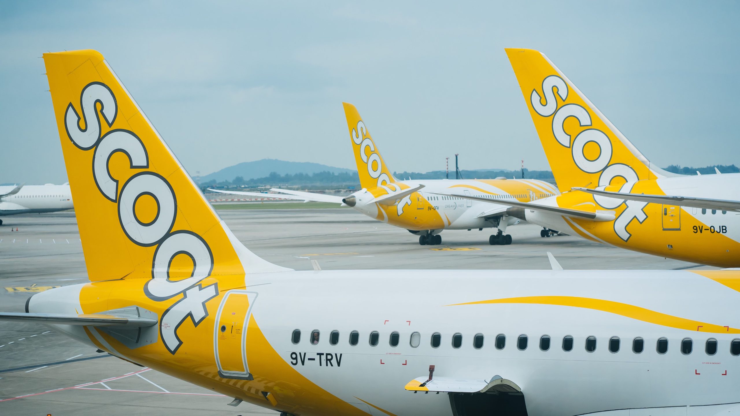 Scoots geschäftigste Boeing 787 Dreamliner Routen in diesem Jahr: Was Sie an Bord erwarten können