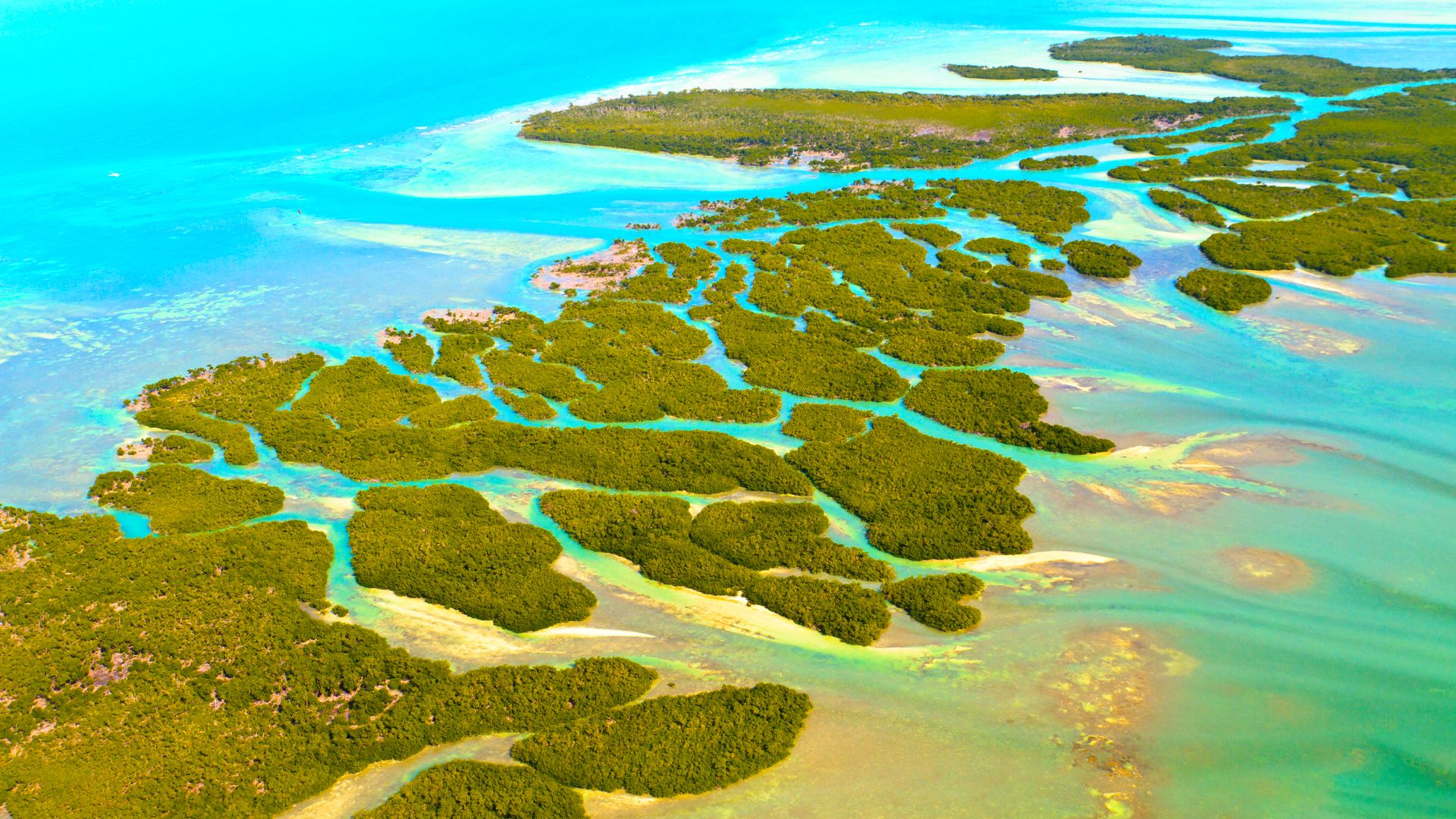 Die „Malediven“ der Florida Keys sind ein unterschätztes Paradies mit weißen Sandstangen und Everglades-ähnlichen Abenteuern
