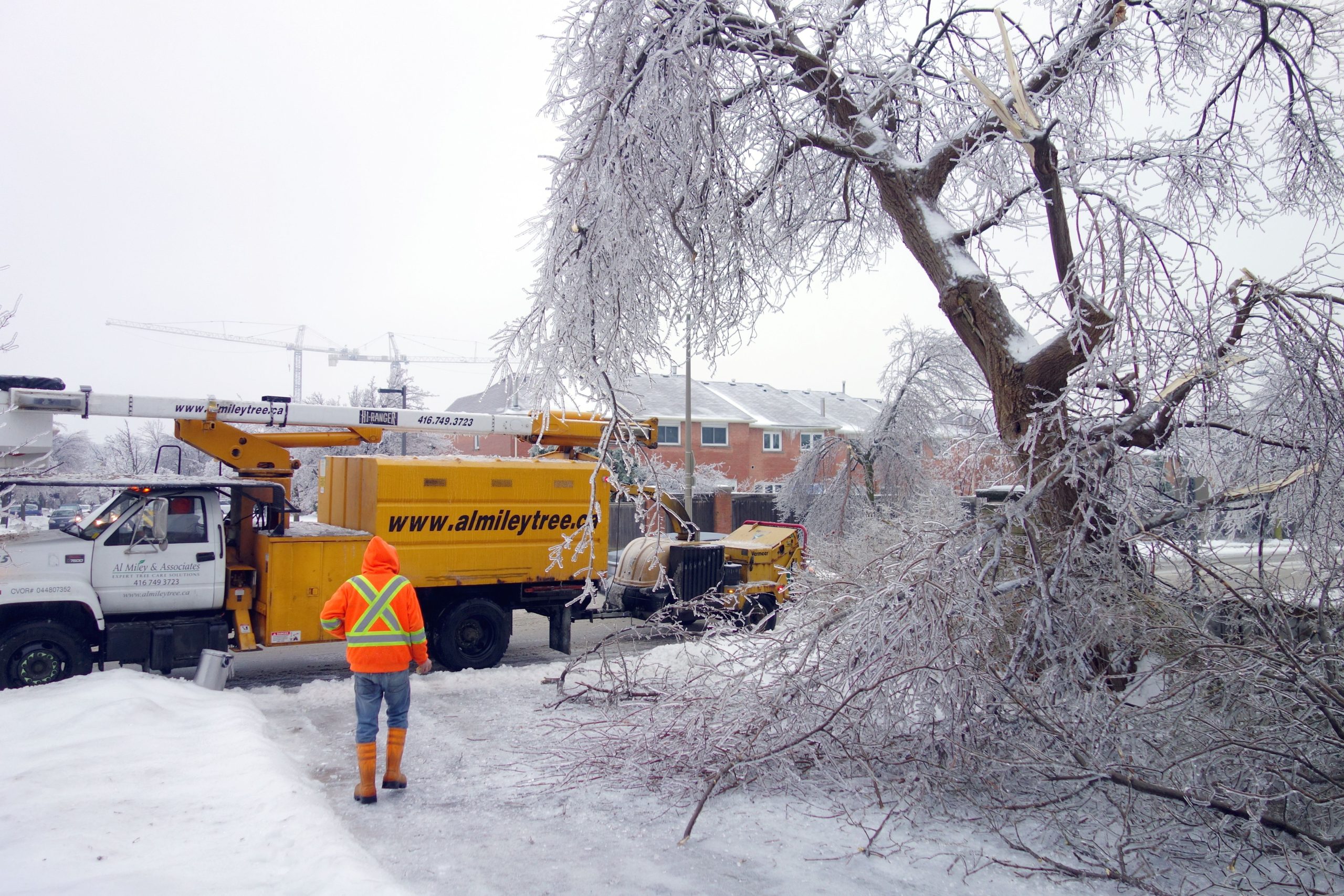 Beispiellose Eissturm trifft Kanada in die Dunkelheit: Beamte warnen vor weit verbreiteten Stromausfällen und gefährlichen Reisebedingungen