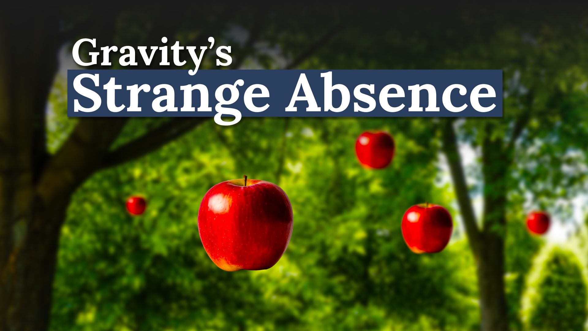 Warum die Schwerkraft in diesem bizarren Teil Kanadas „fehlt“