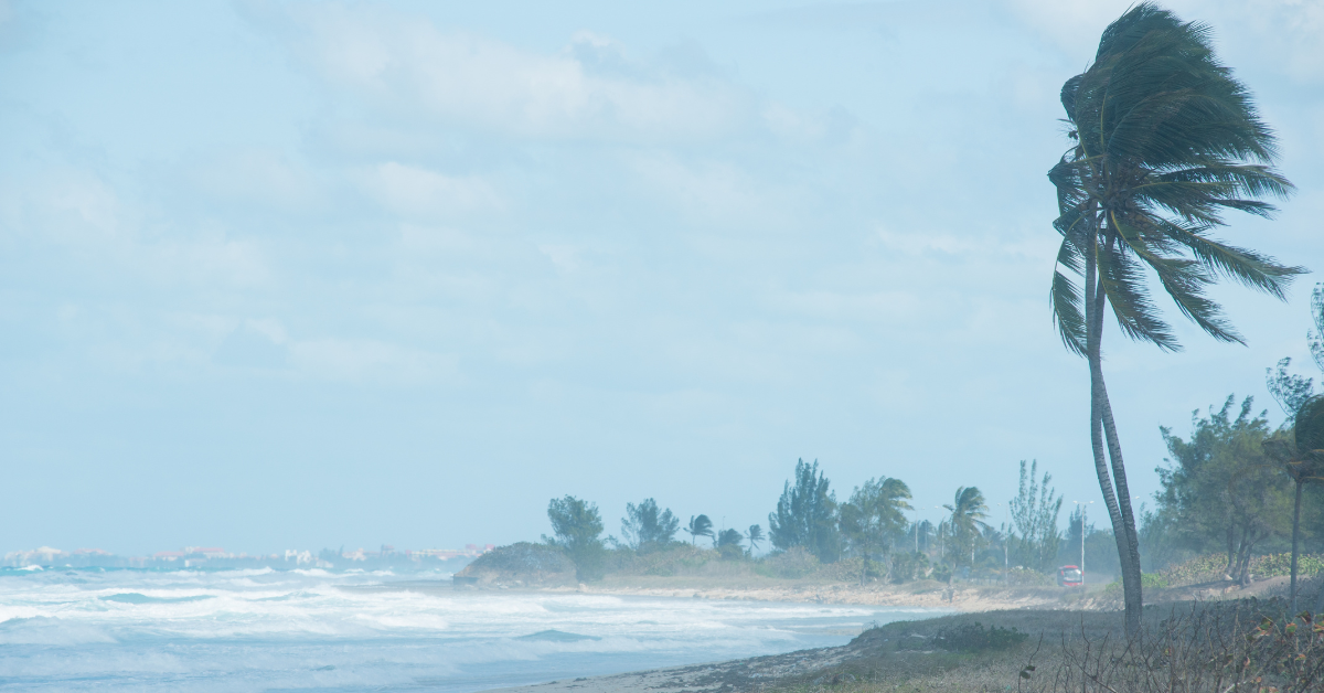 Floridians besorgt, nachdem der X-Benutzer angezeigt wurde, wie die 20-Fuß