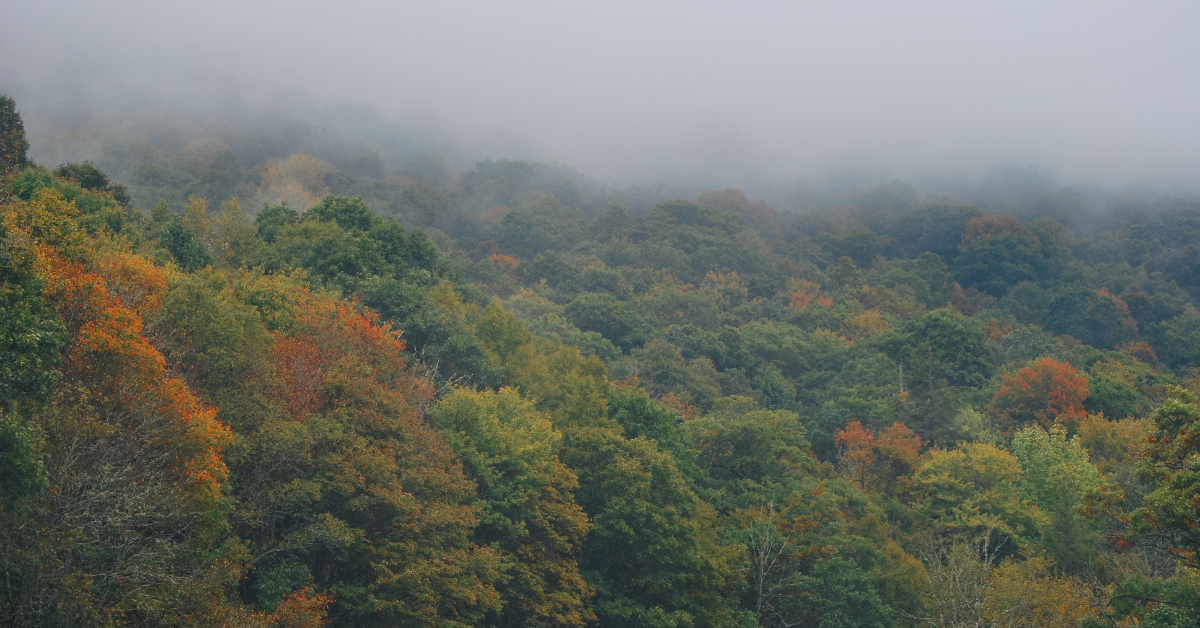 Heroic Footage zeigt North Carolina Man, der einen Hubschrauber mit einem unwahrscheinlichen Objekt aufspürt