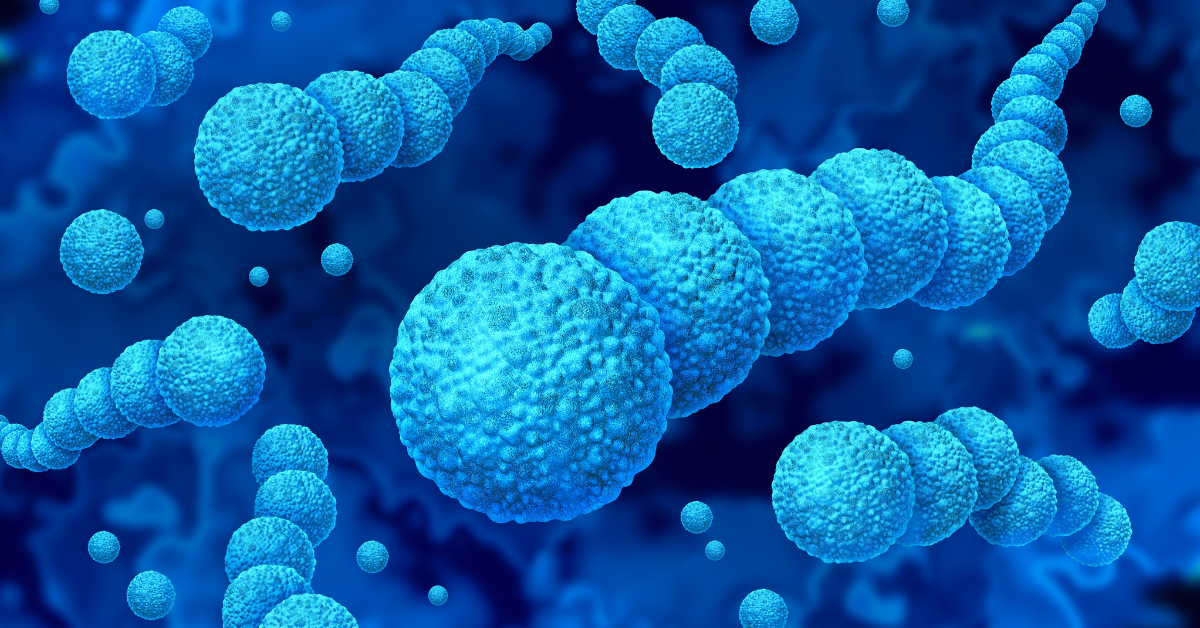 Florida Regions Hillsborough und Pinellas sehen nach Hurrikan Helene und Milton einen Anstieg der fleischfressenden Bakterien