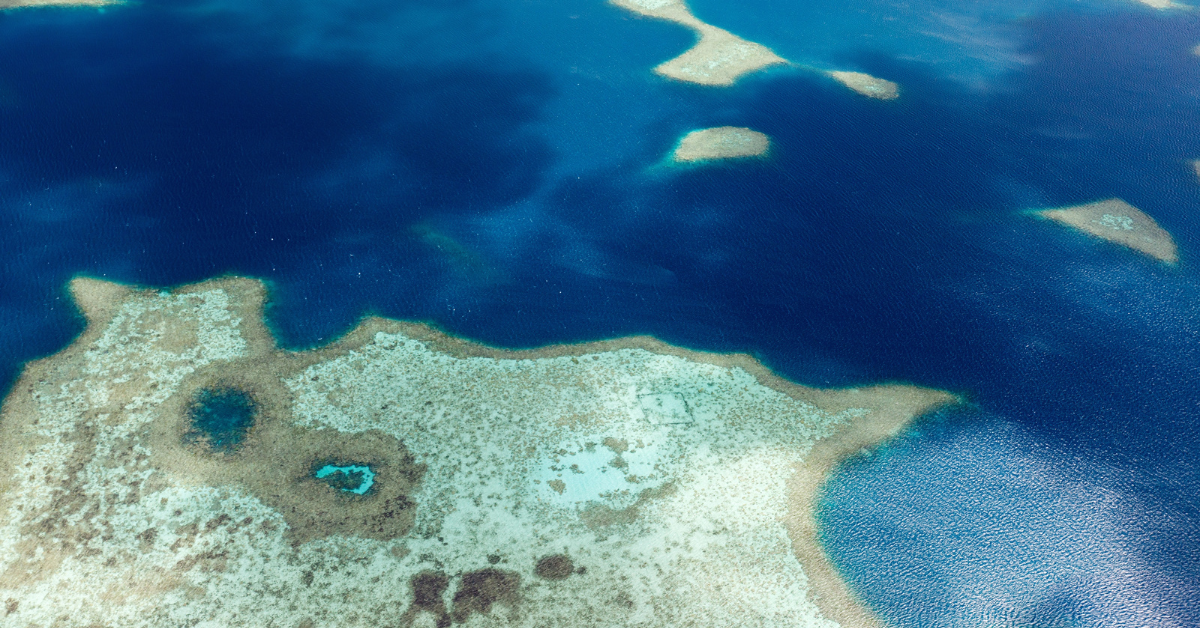 Forschungsschiff stellt die Hoffnung wieder her und findet umweltfreundliche Unterwasserentdeckung in der Größe von fünf Tennisplätzen