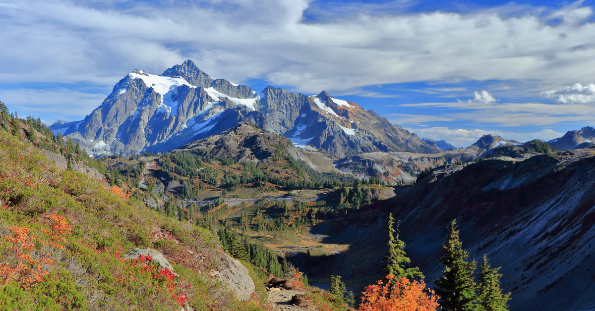 Verlassenes Nistgelände der Bären im Washingtoner North Cascades National Park rettete das Leben dieses Wanderers