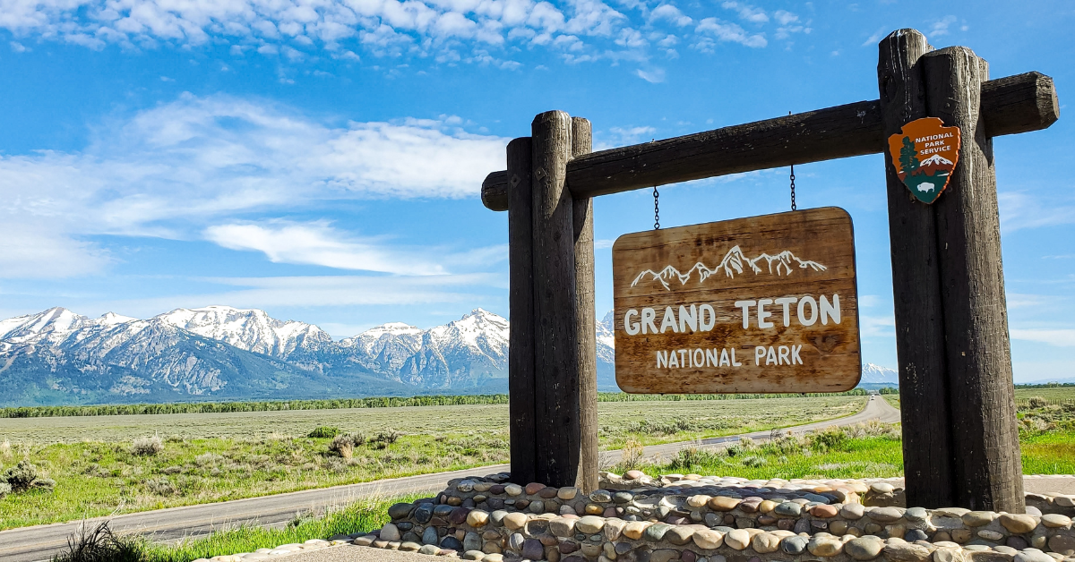 Der komplizierte 100 