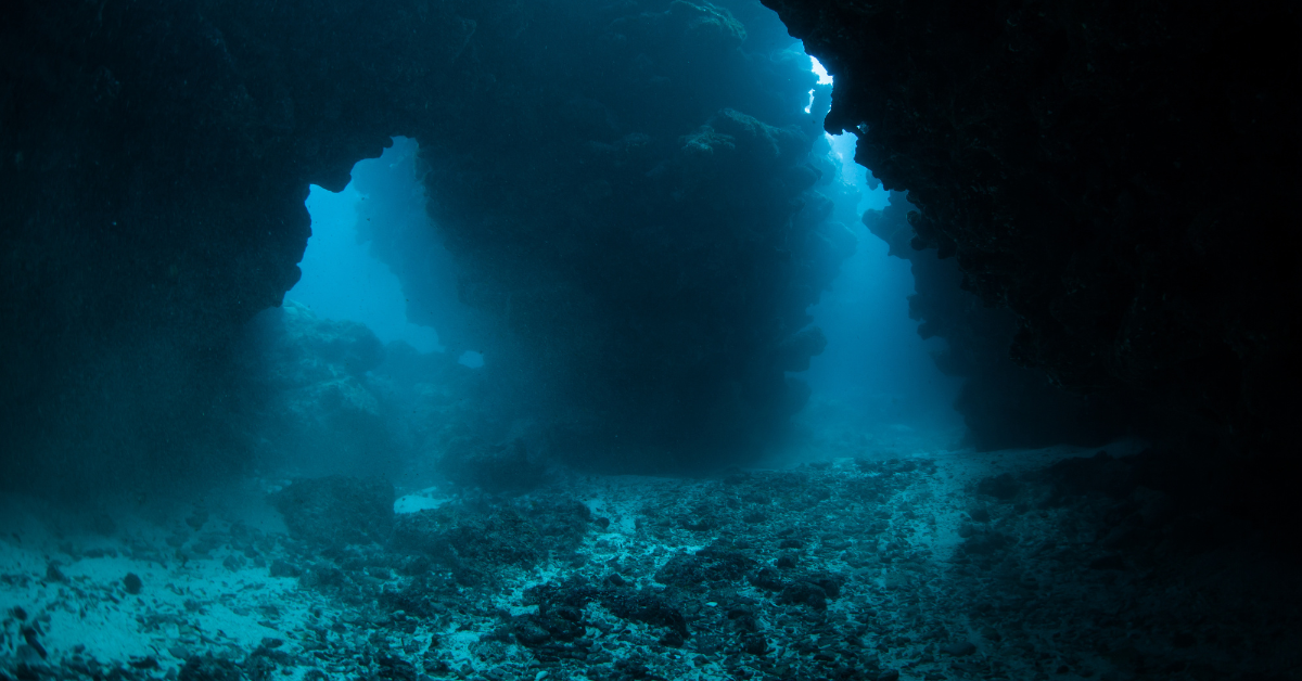 Neues großes Raubtier ist gesehen