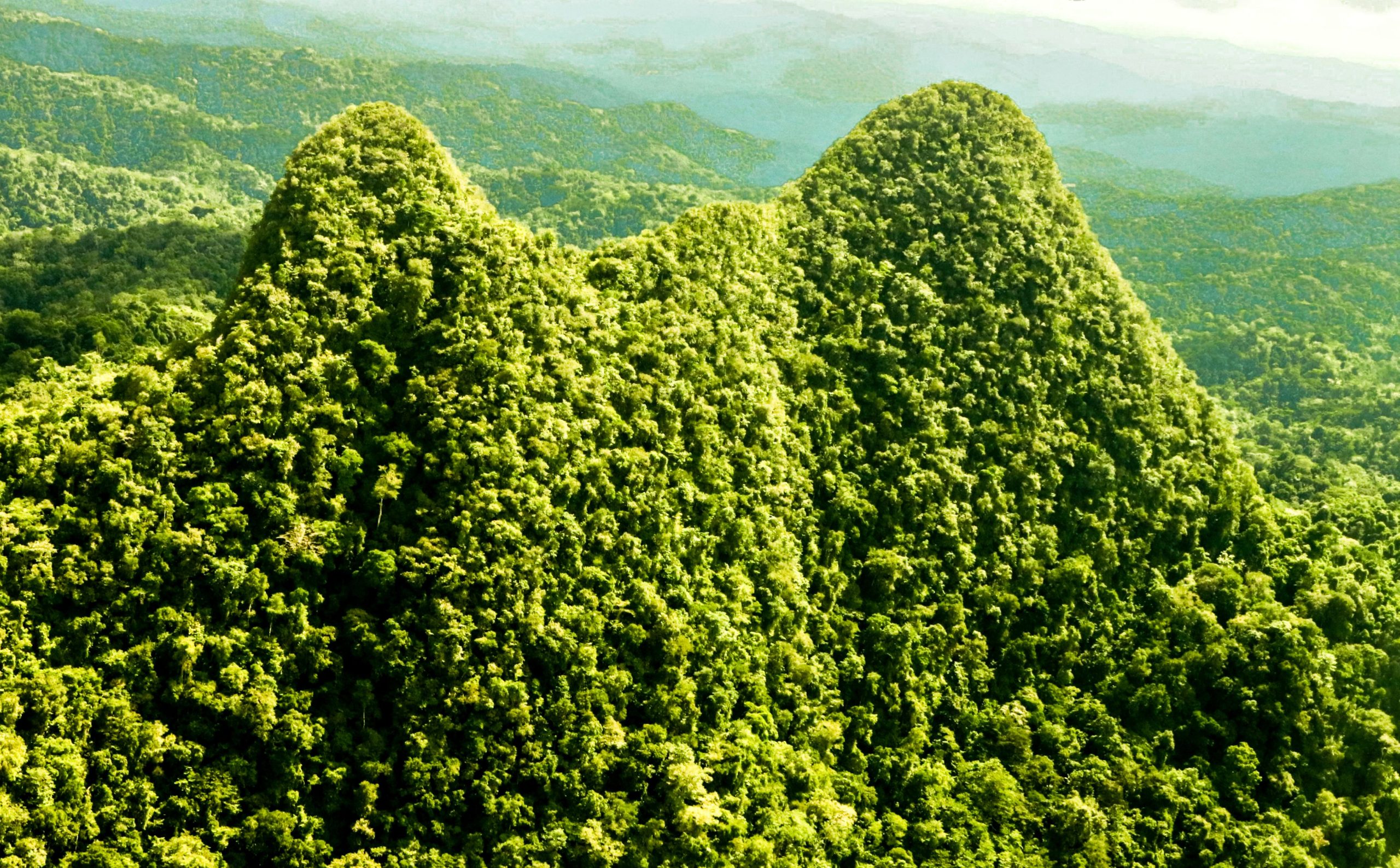 Eine alte 'verlorene Stadt' enthüllt unglaubliche Geheimnisse über die Evolution, darunter 22 neue Arten