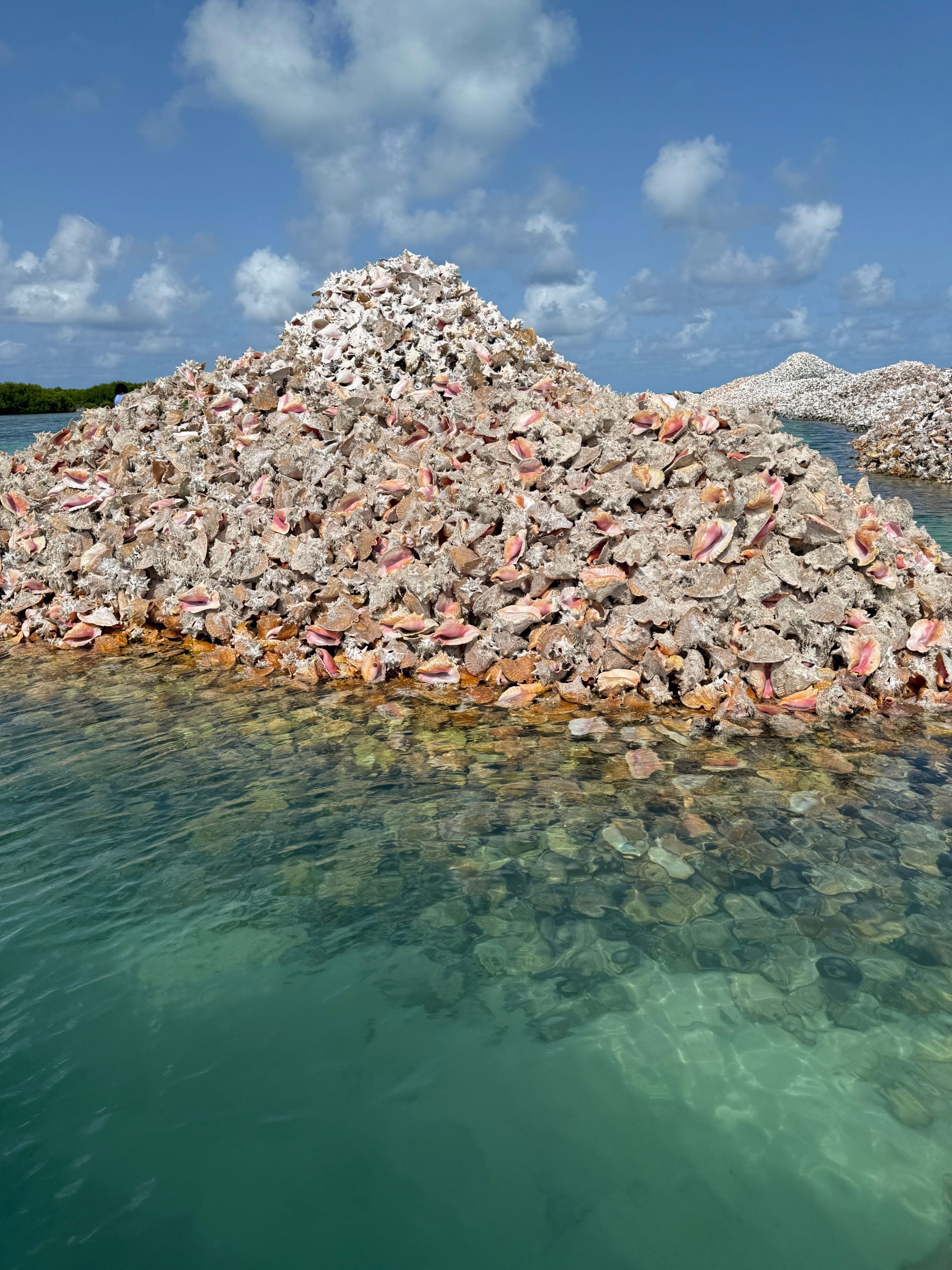 Diese versteckte Mini 