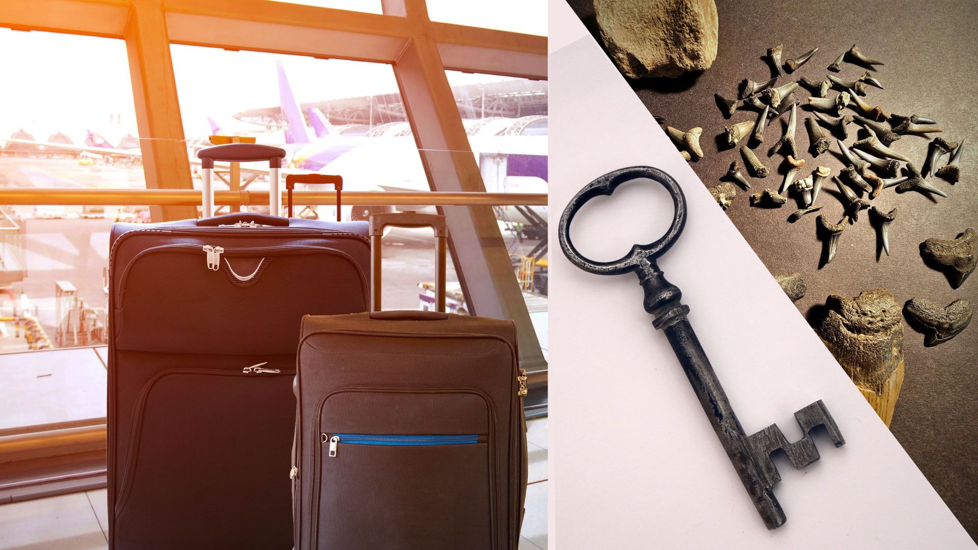 Diese kleine Stadt von Alabama ist der einzige Einzelhändler von verlorenen Gepäckprodukten in den USA, von der Zähne eines Hai bis zu einer Kamera von der NASA