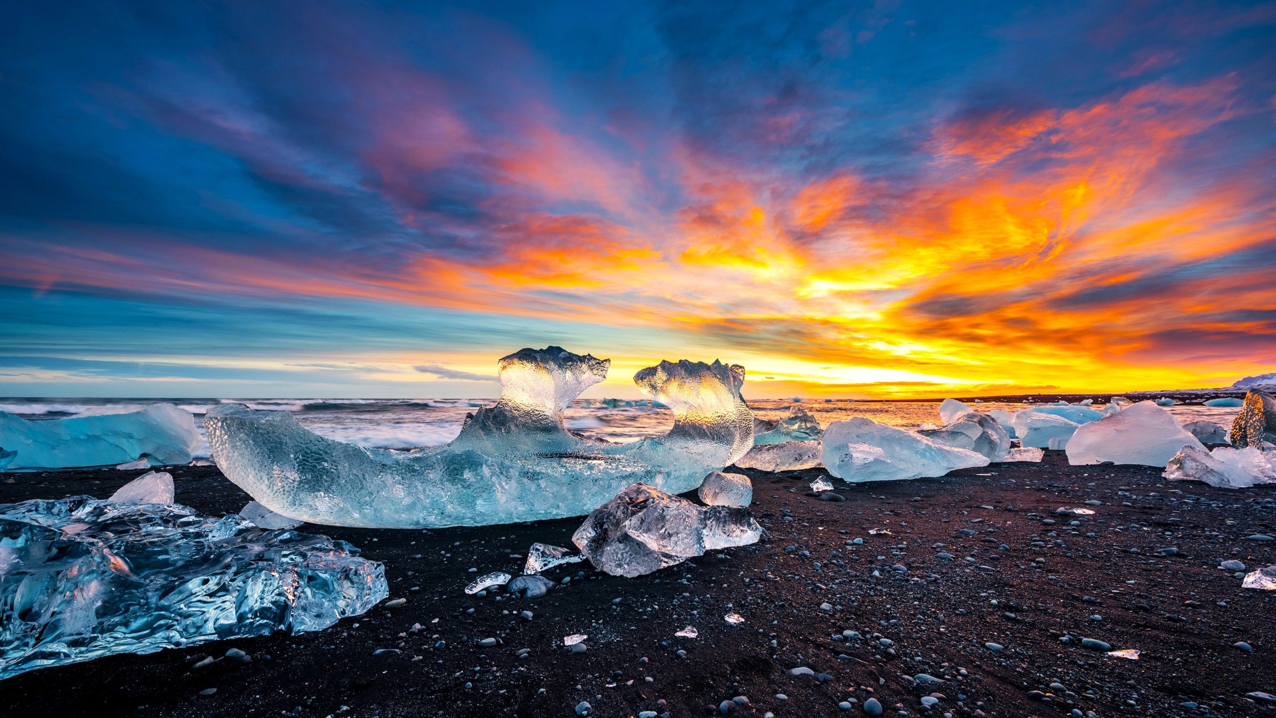 10 unglaublichste Entdeckungen in der Arktis