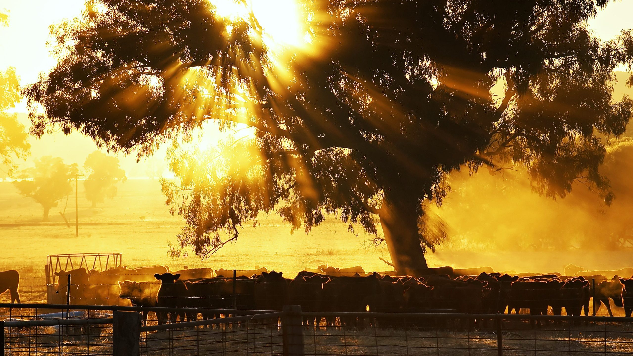 Oregons größtes Geheimnis erstreckt sich über Jahrzehnte und ist immer noch ungelöst