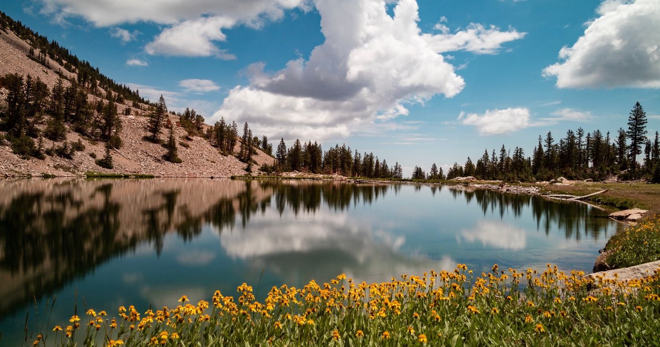 Überspringen Sie Death Valley, besuchen Sie den am meisten unterschätzten Nationalpark von Nevada