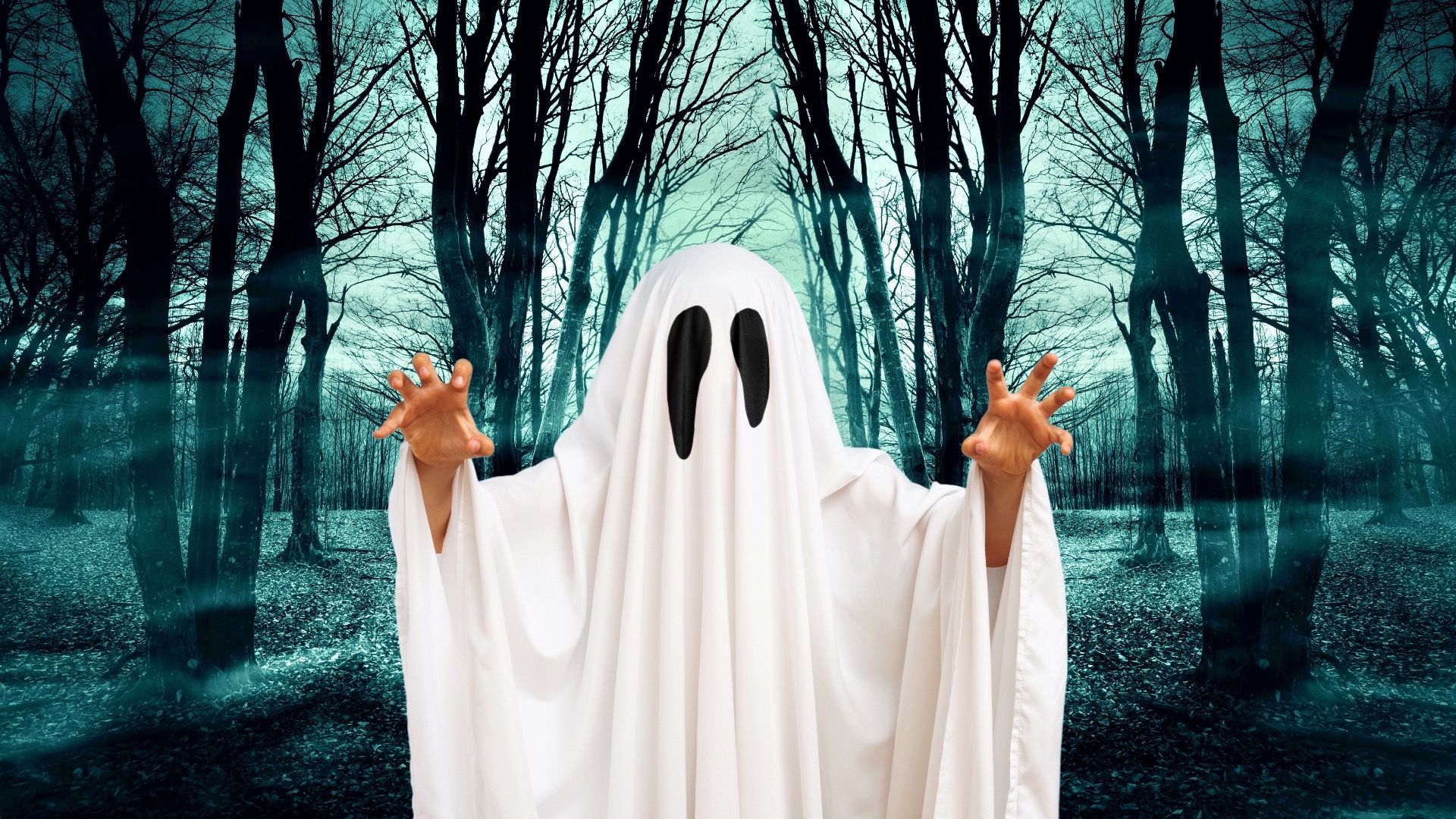 5 Unheimliche Appalachen 