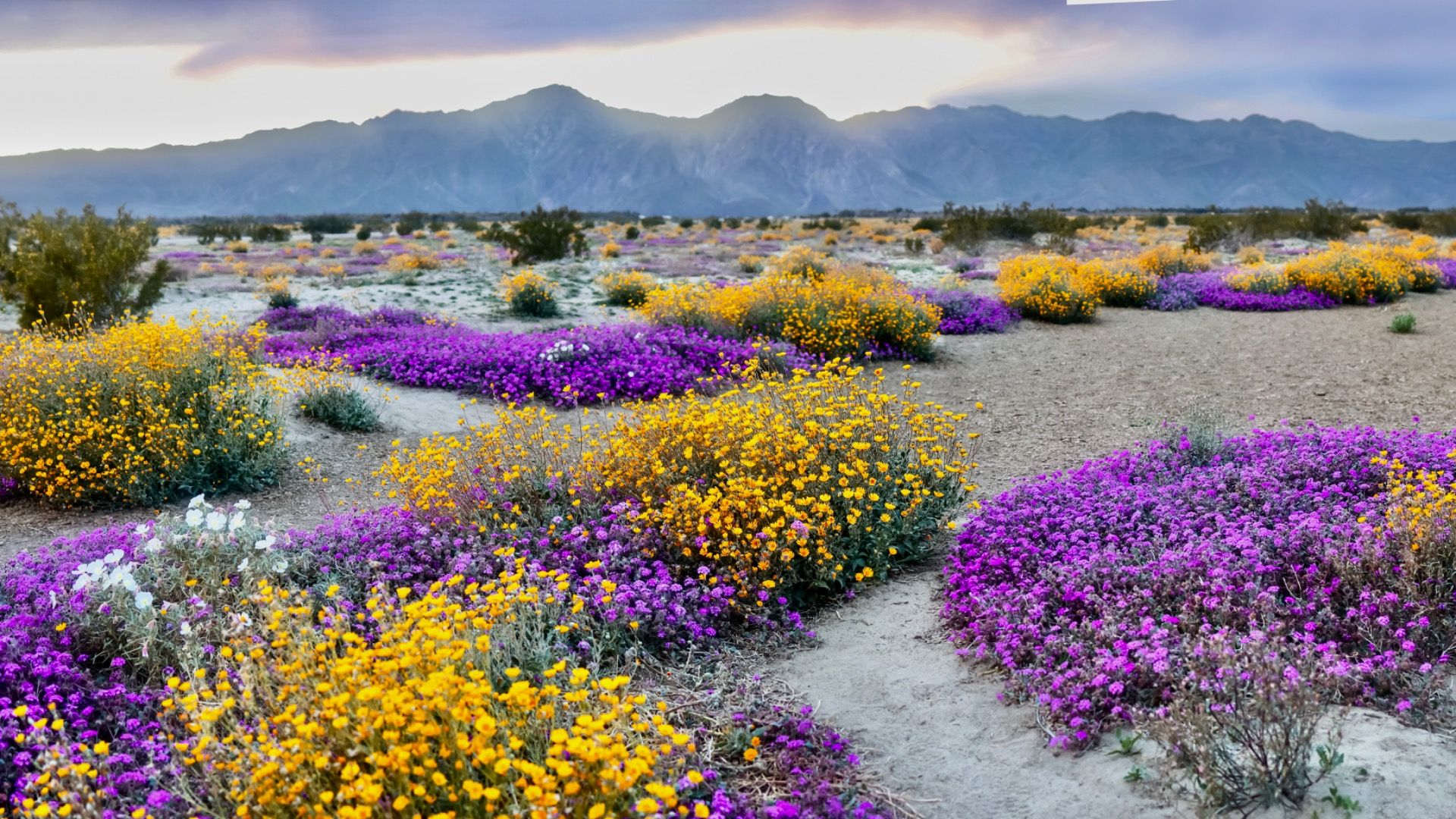 Wanderung zu einer versteckten Oase in diesem California State Park