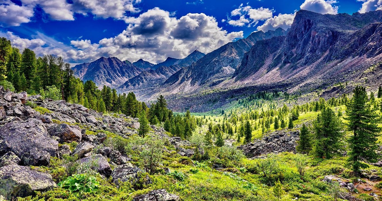 Der größte Wald der Welt ist atemberaubend, aber Sie können nicht besuchen