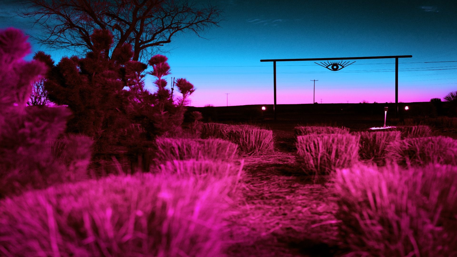 7 Seltsamste Dinge, die jemals in Amerika entdeckt wurden