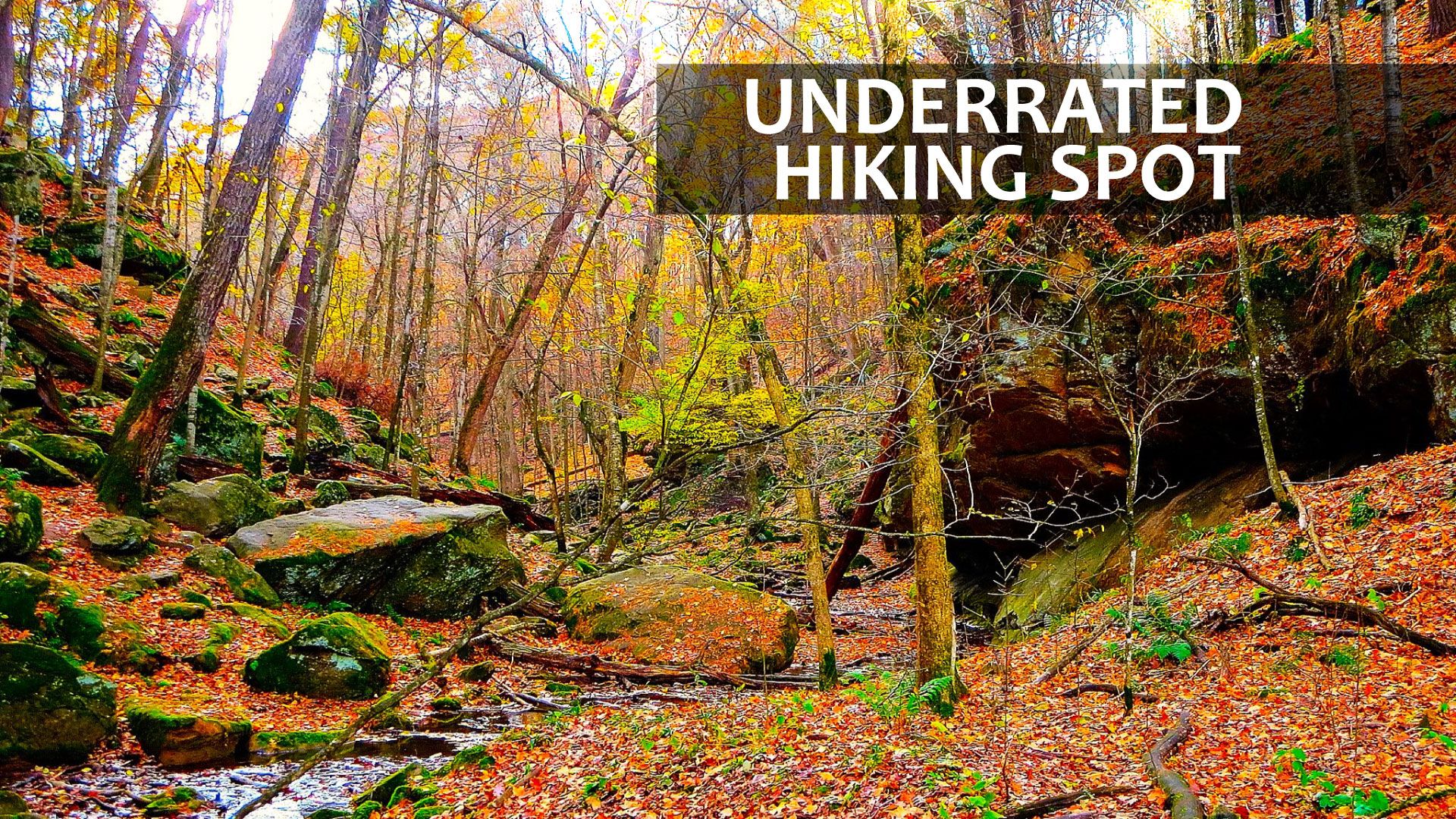 Iowas kleiner „Grand Canyon“ befindet sich im unterschätzten Wanderplatz des Mittleren Westens, von dem Sie noch nie gehört haben