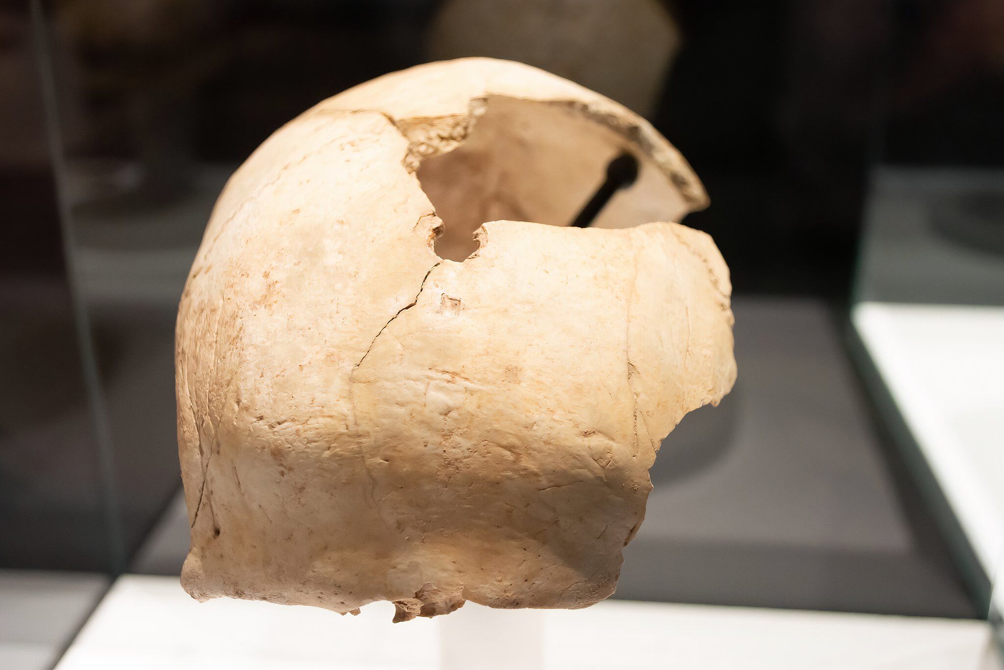 Wir können endlich wissen, warum diese alte Zivilisation Nägel in menschliche Schädel trieb