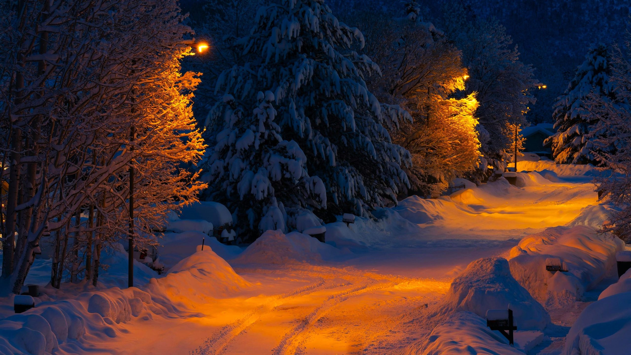 Ein Staat, den Sie nie erwarten würden, hat eine der schneebedeckten Bergstädte in den USA