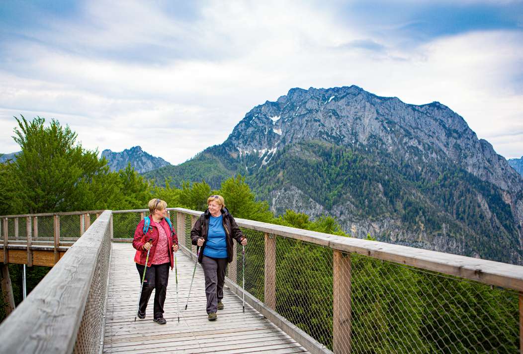 3 der besten Treetop Walks in Europa: Schweiz, Deutschland und Österreich