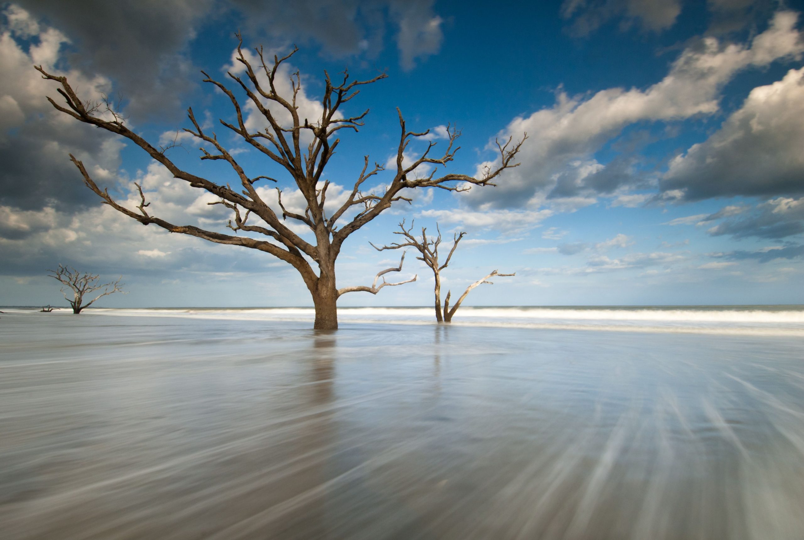 Dieser „Baumfriedhof“ ist einer der spektakulärsten geheimen Strände von South Carolina