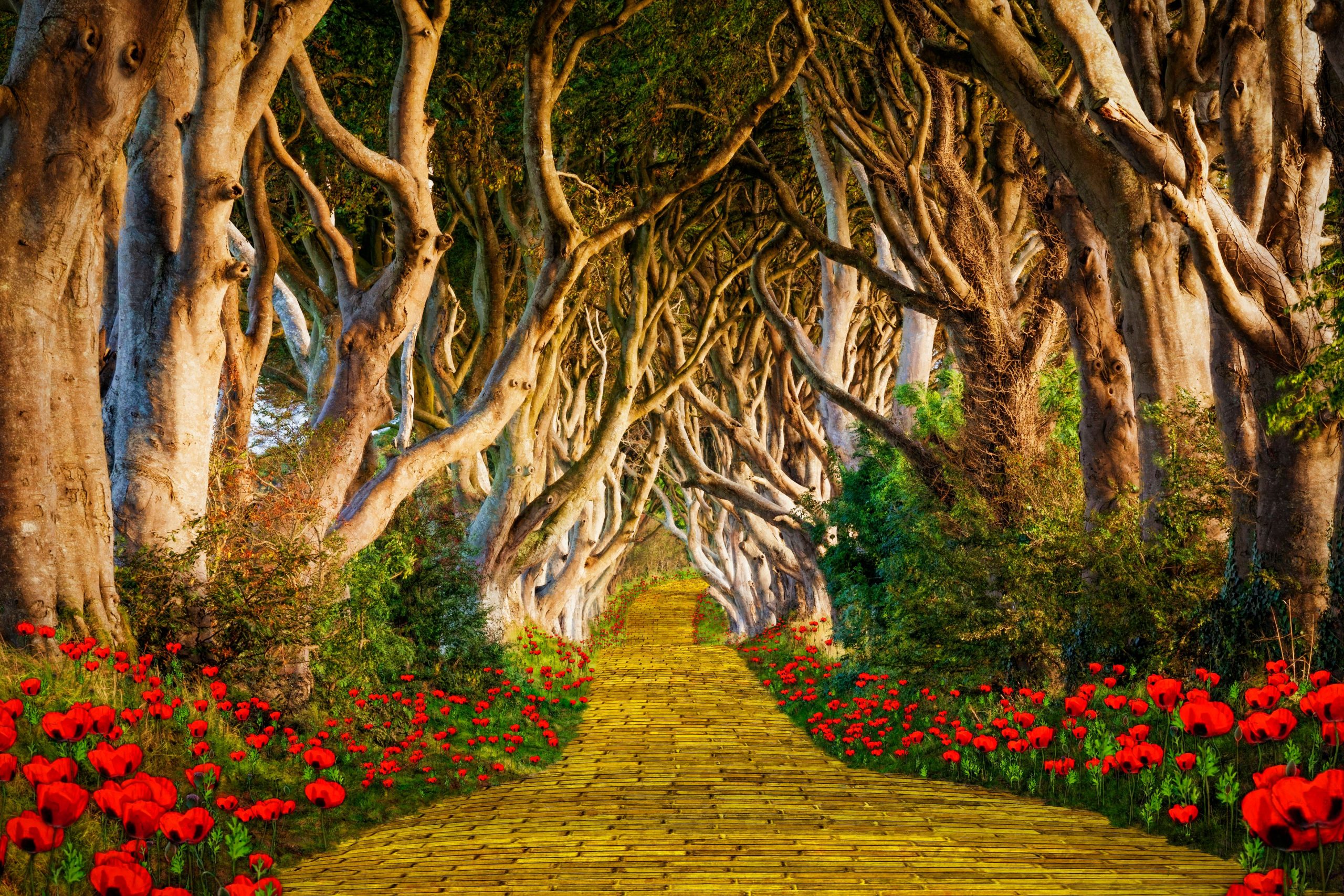 Orte, die Sie besuchen können, inspiriert von Wicked &amp; The Assist of Oz