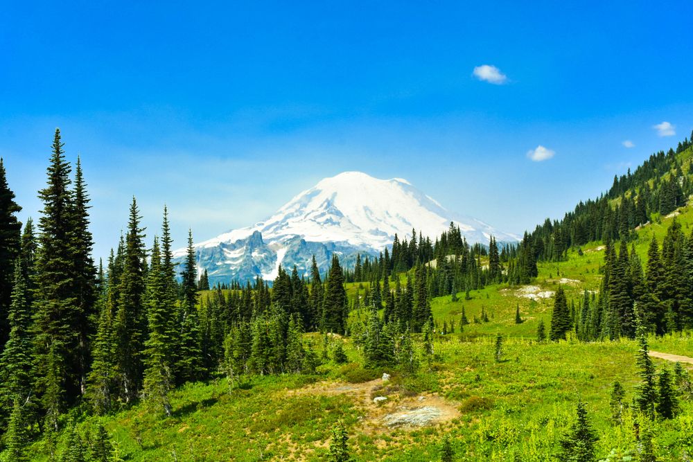 Das neue Verbot des Mount Rainier National Park, das alle Camper betrifft