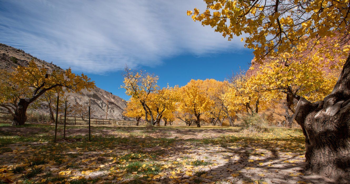 Dieser unterschätzte State Park hat das beste Herbstlaub in Arizona