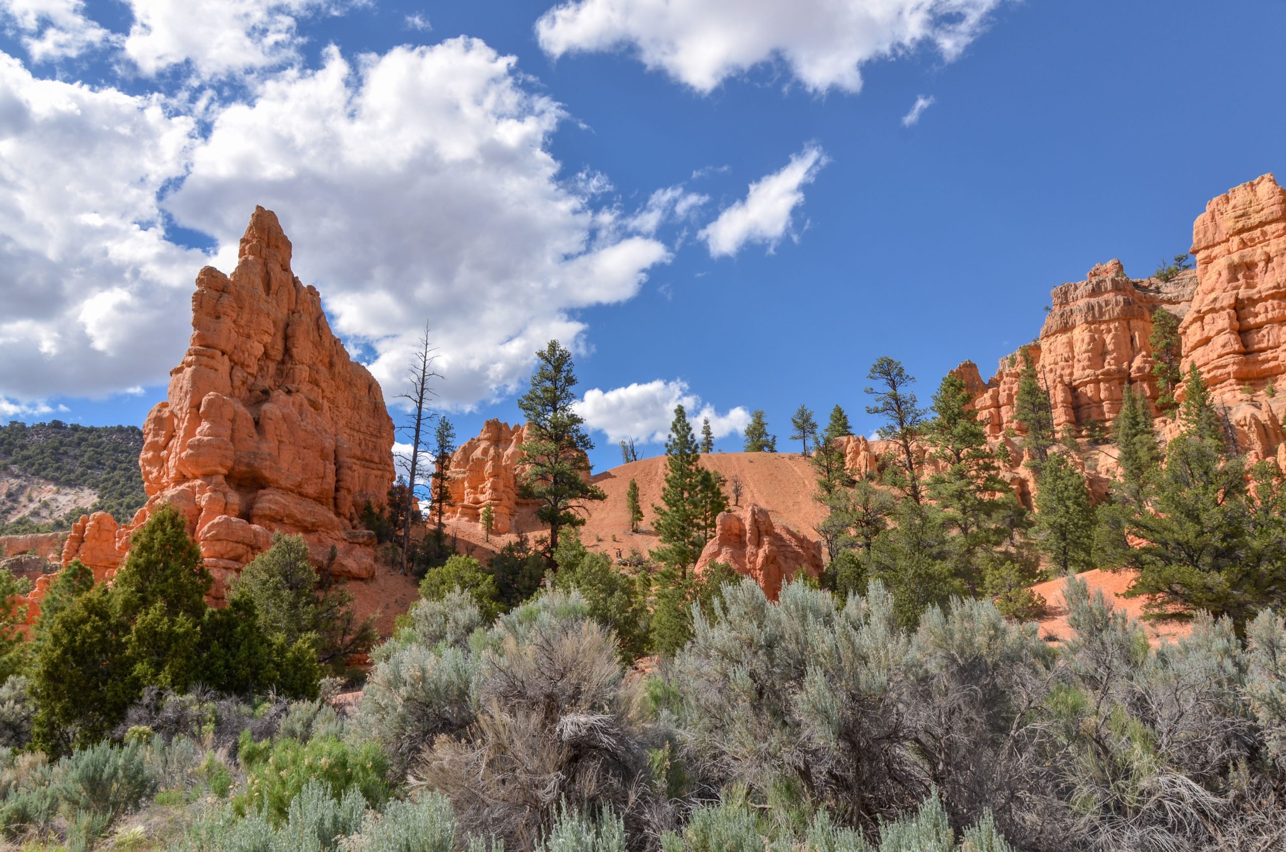 Skip Utahs Nationalparks: Der größte Nationalwald des Staates ist in der Nähe, größer und besser