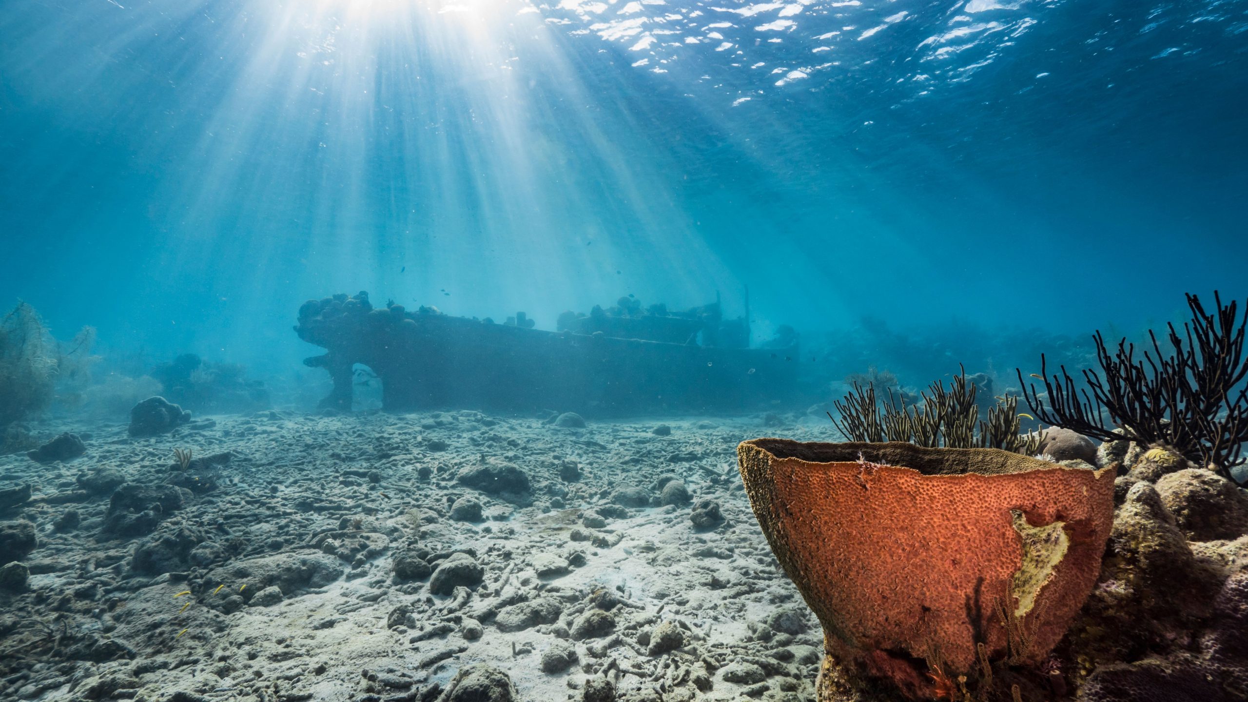 Lake Michigan produziert eine weitere historische Entdeckung, die mehr als ein Jahrhundert lang am Boden seiner Oberfläche versteckt ist