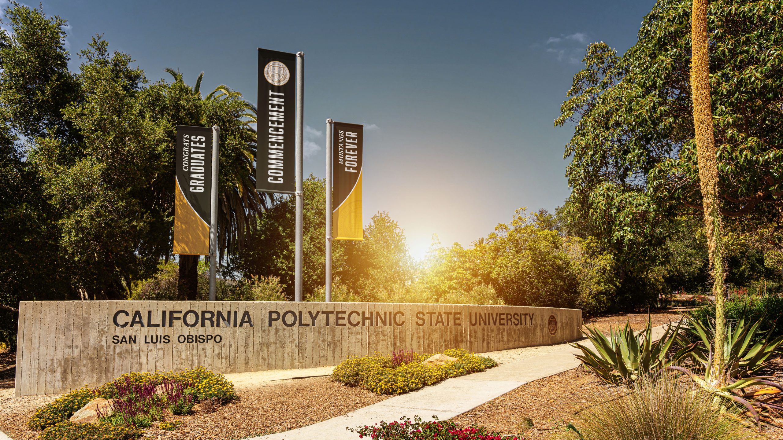 Amerikas exklusivste College 