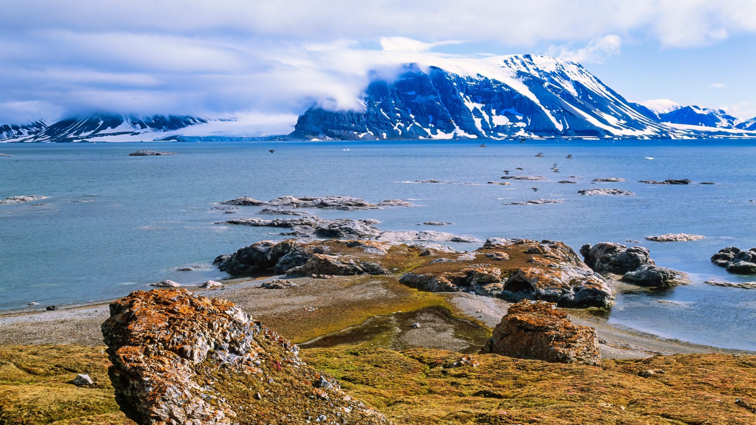 8 faszinierende fossile Funde, die Experten schrittweise