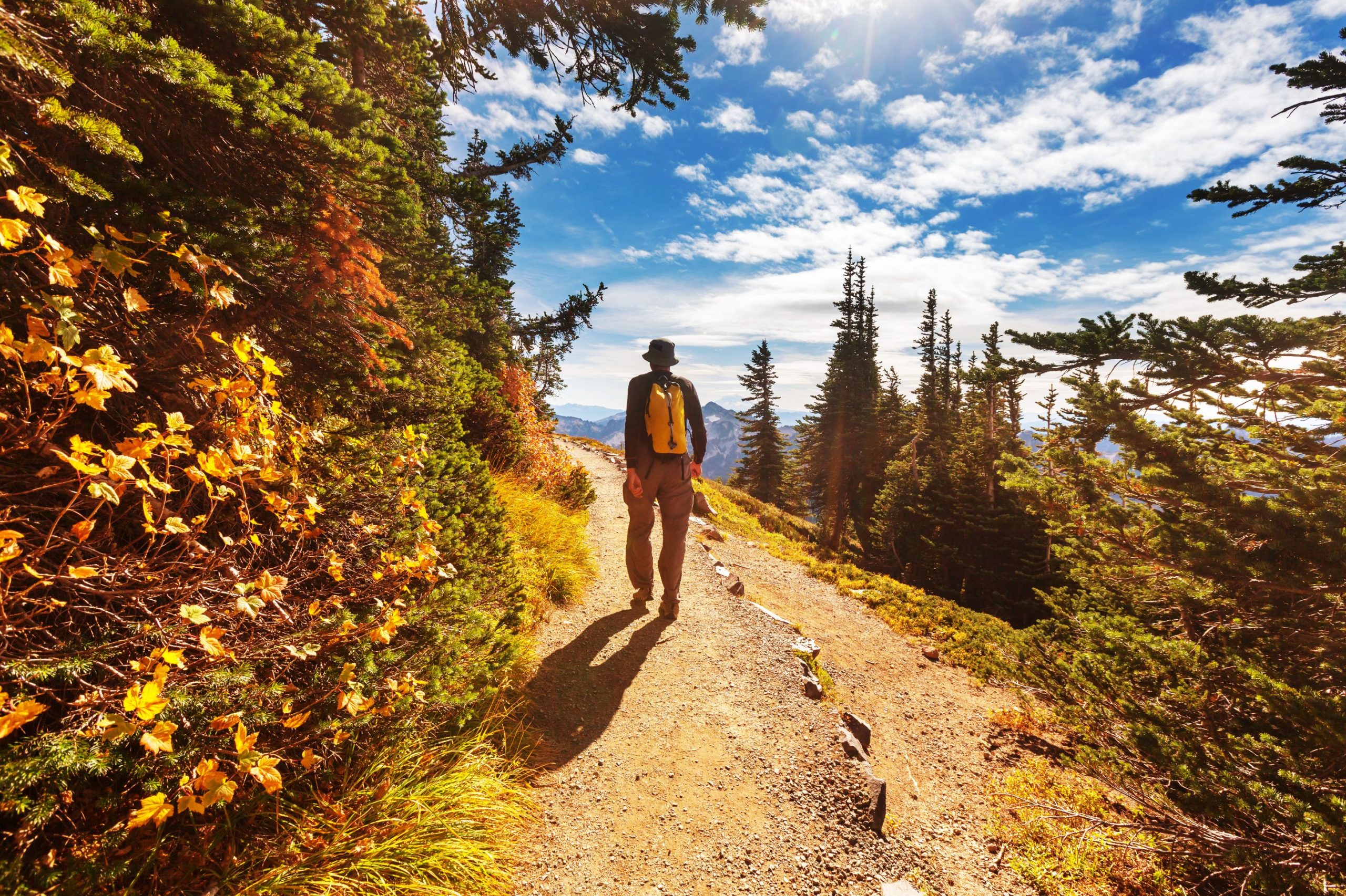 Montanas coolstes Abenteuer ist der neueste Trend, den Sie wissen müssen