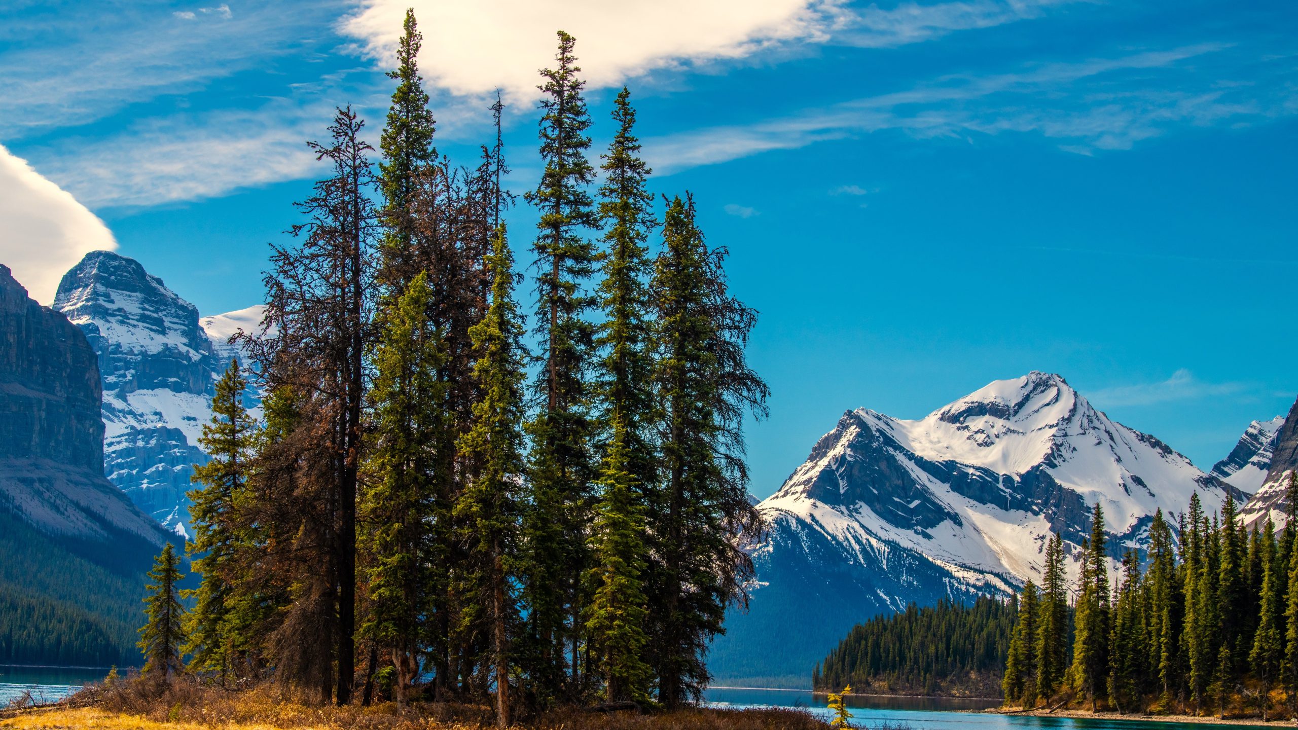 Dieser kanadische arktische Meeresboden hat die Größe einer Stadt und der Heimat für eine eigene Umgebung