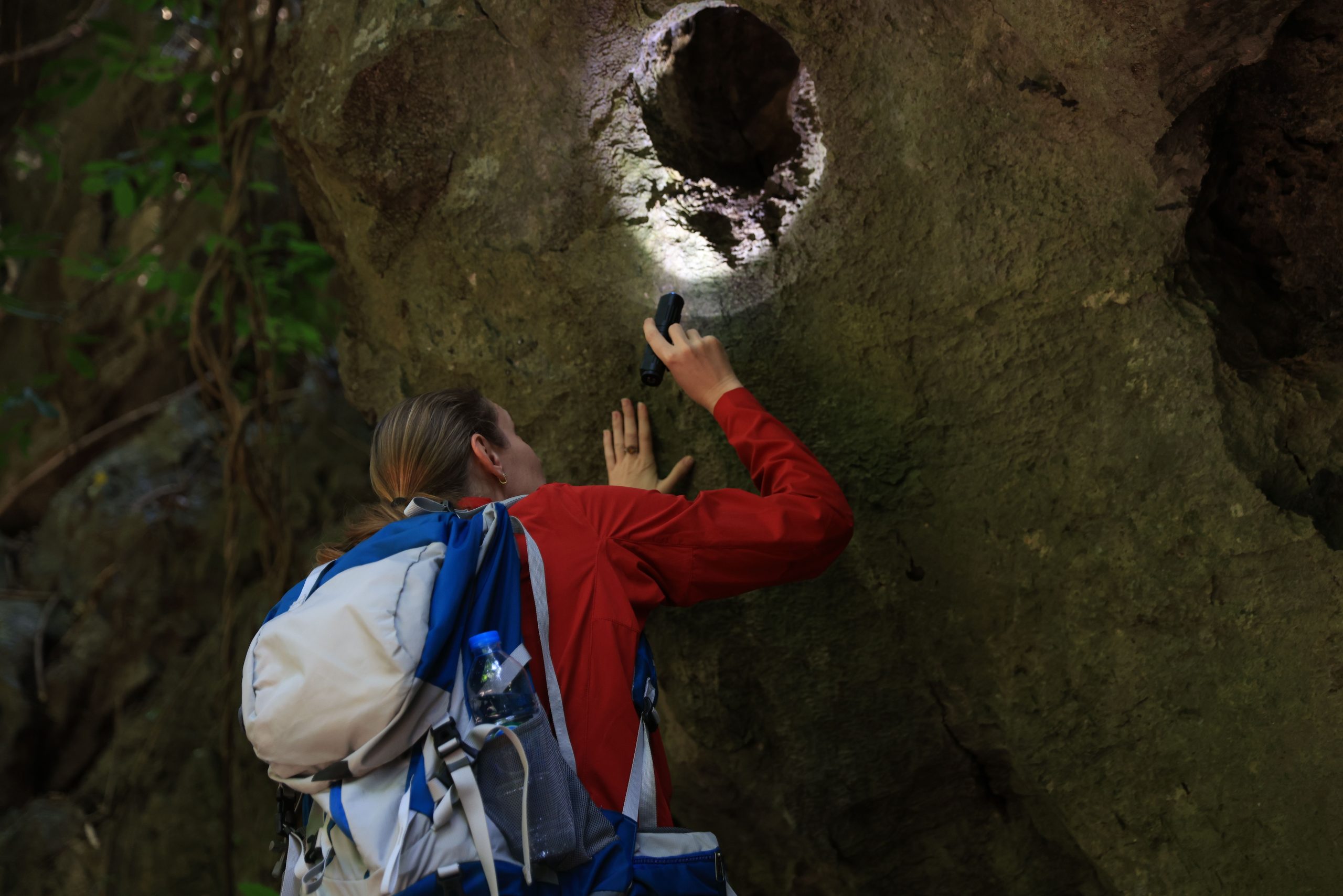 6.000 Jahre alte Entdeckung in den Rocky Mountains ist sowohl aufregend als auch beängstigend
