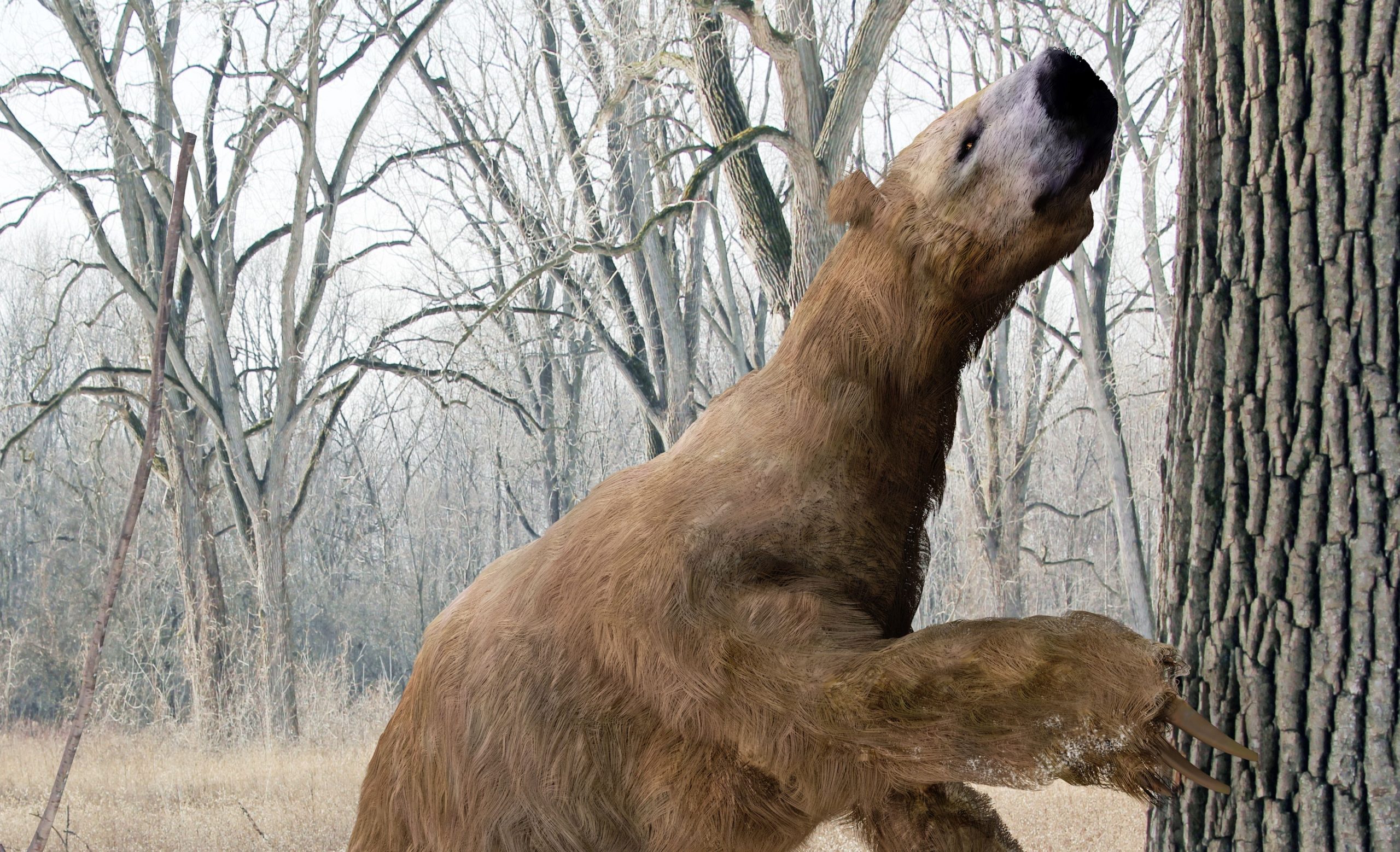 Mastodons, riesige Faultiere und alte Menschen haben sich für Jahrtausende nebeneinander existiert, schlägt die Entdeckung vor
