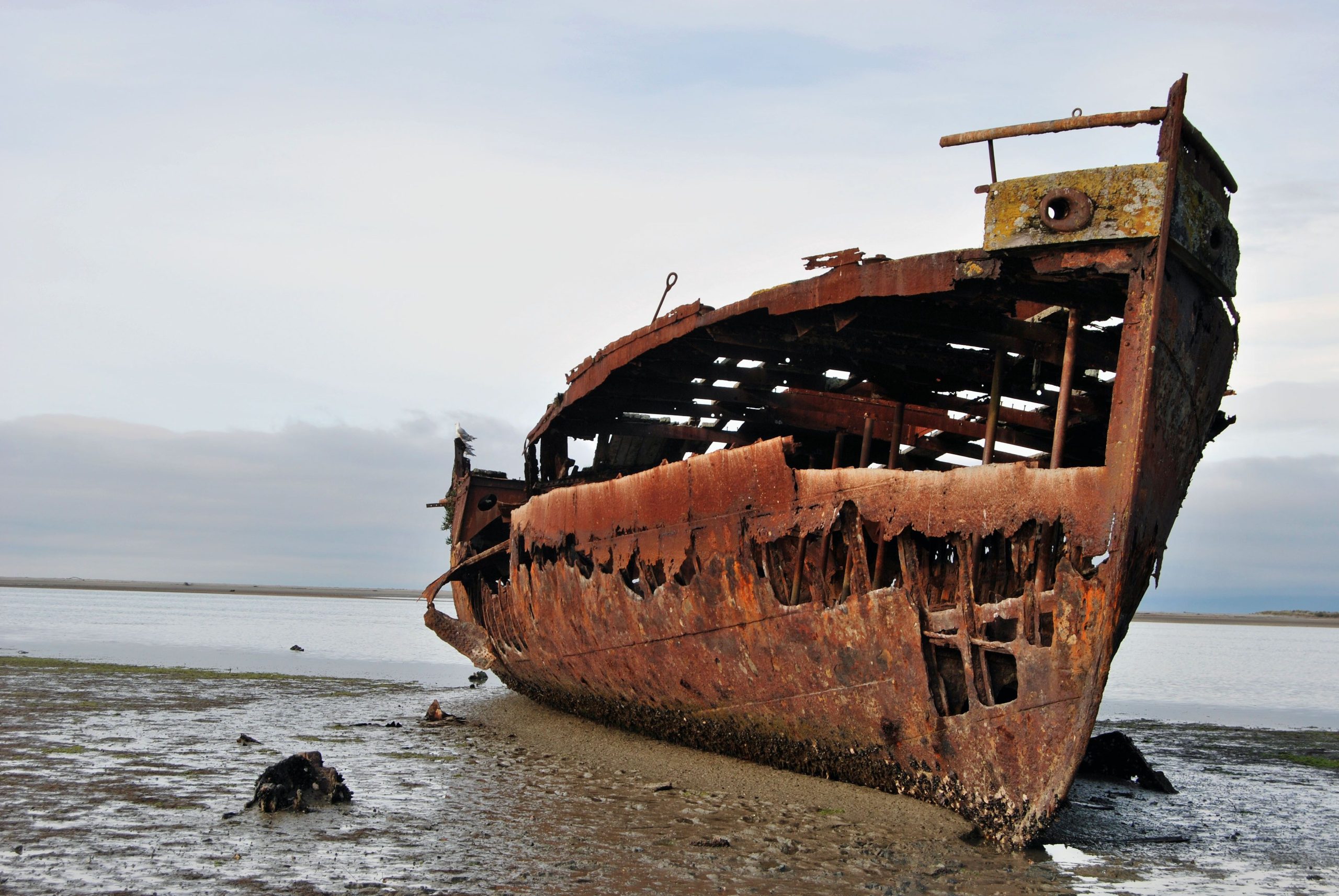 Zwei Schiffswracks über 100 Jahre alt, die von Ex-Cyclone Alfred enthüllt werden