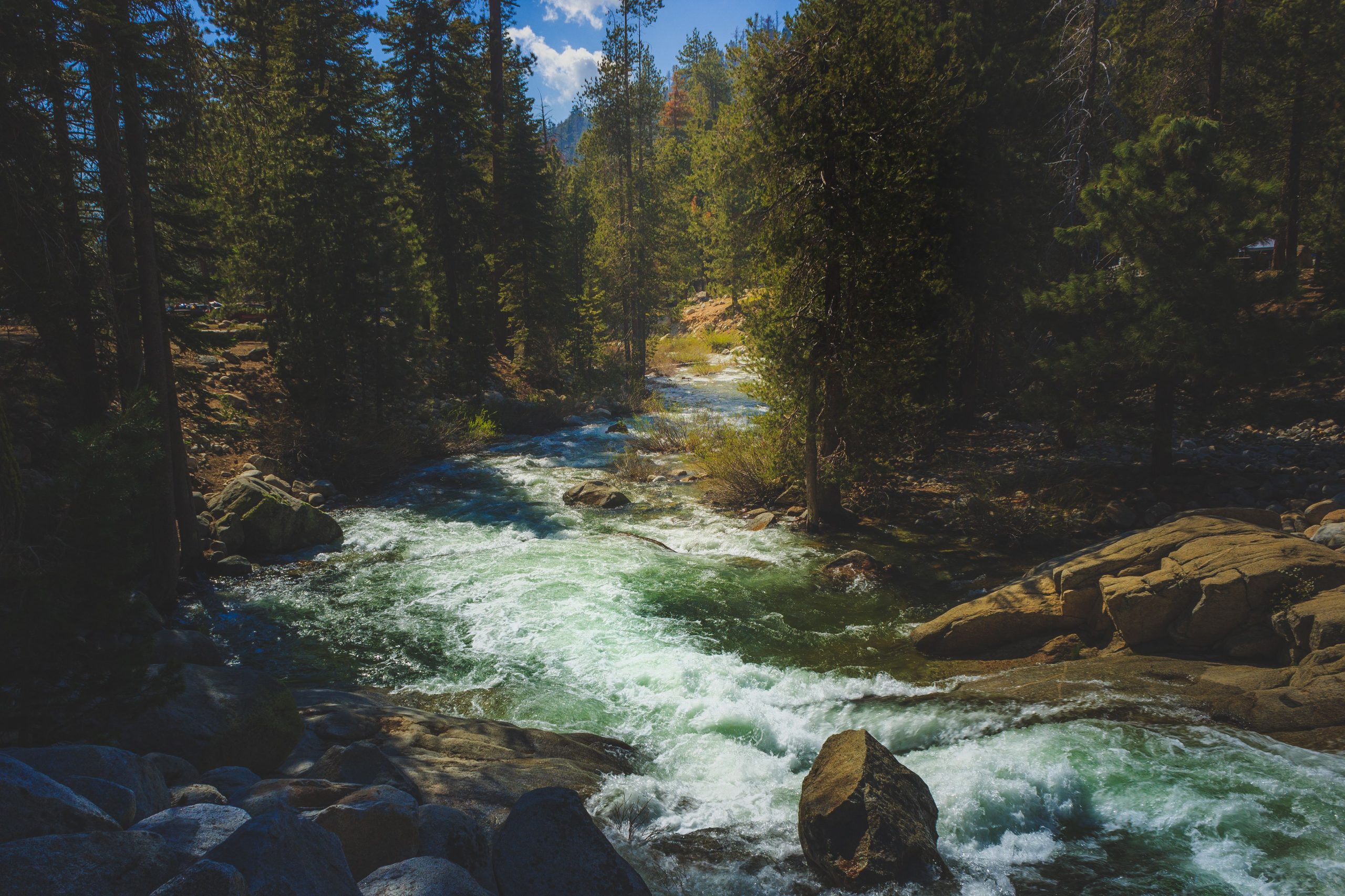 Frau fegte in den California National Park River und versuchte, Schwester zu retten