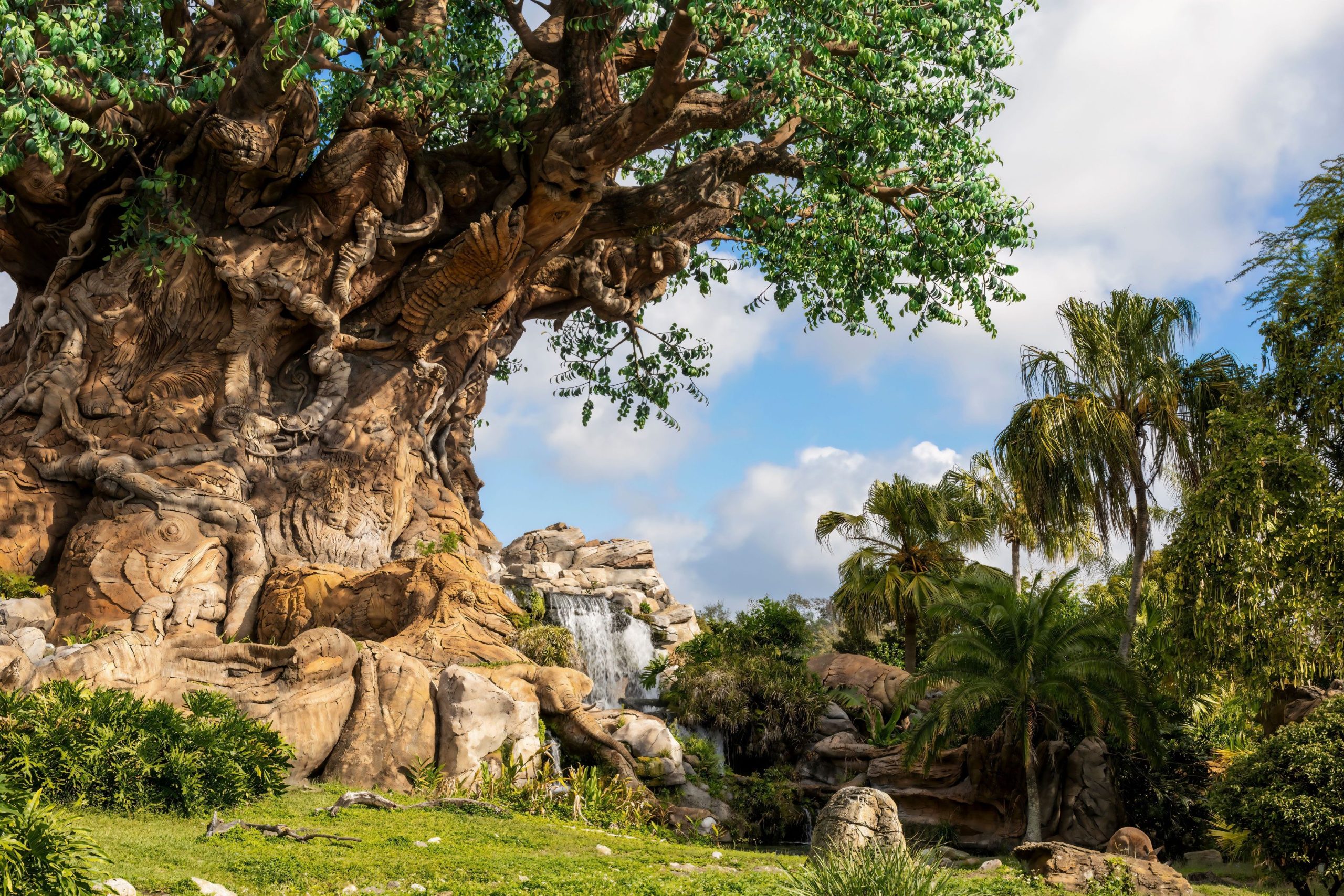 Disney zeichnet gemischte Reaktion, nachdem sie im Animal Kingdom den Verschluss einer versteckten Edelstein 