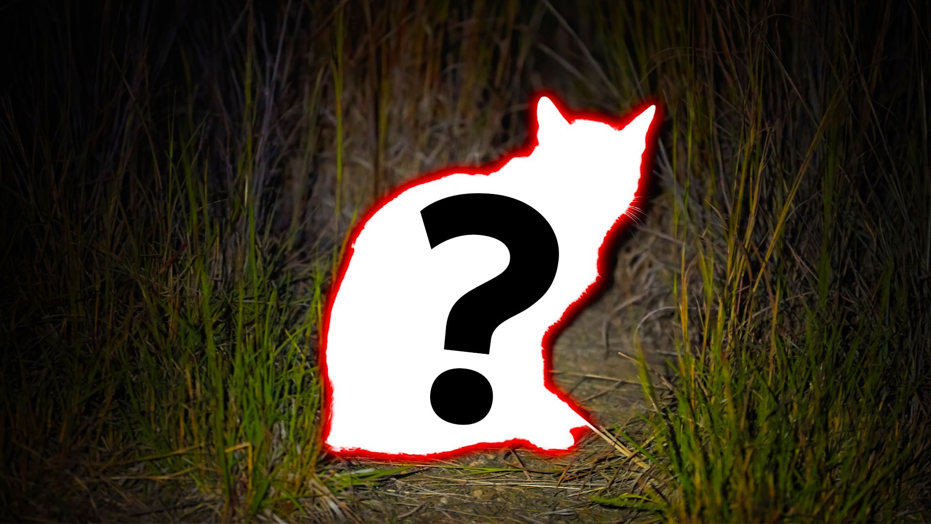 Dieses „invasive“ Haustier zerstört leise den US 