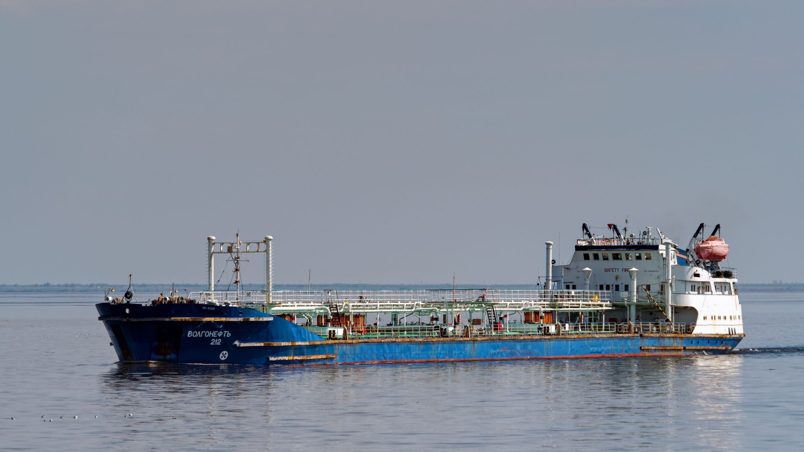 Die Bemühungen zur Reinigung von Plastikpellets in der Nordsee sind im Gange, um die Tierwelt zu retten