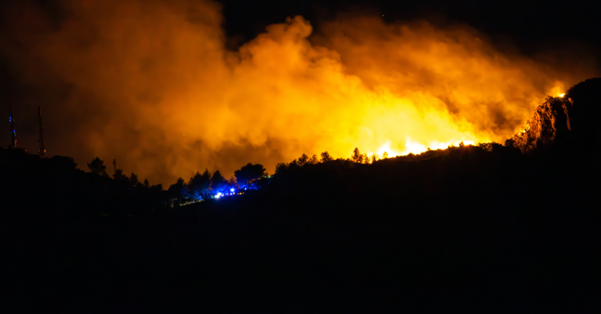 Blue Mountain Wildfire in Northampton Burns 150 Acres: Besatzungen wurden wegen Sicherheitsbedenken entfernt